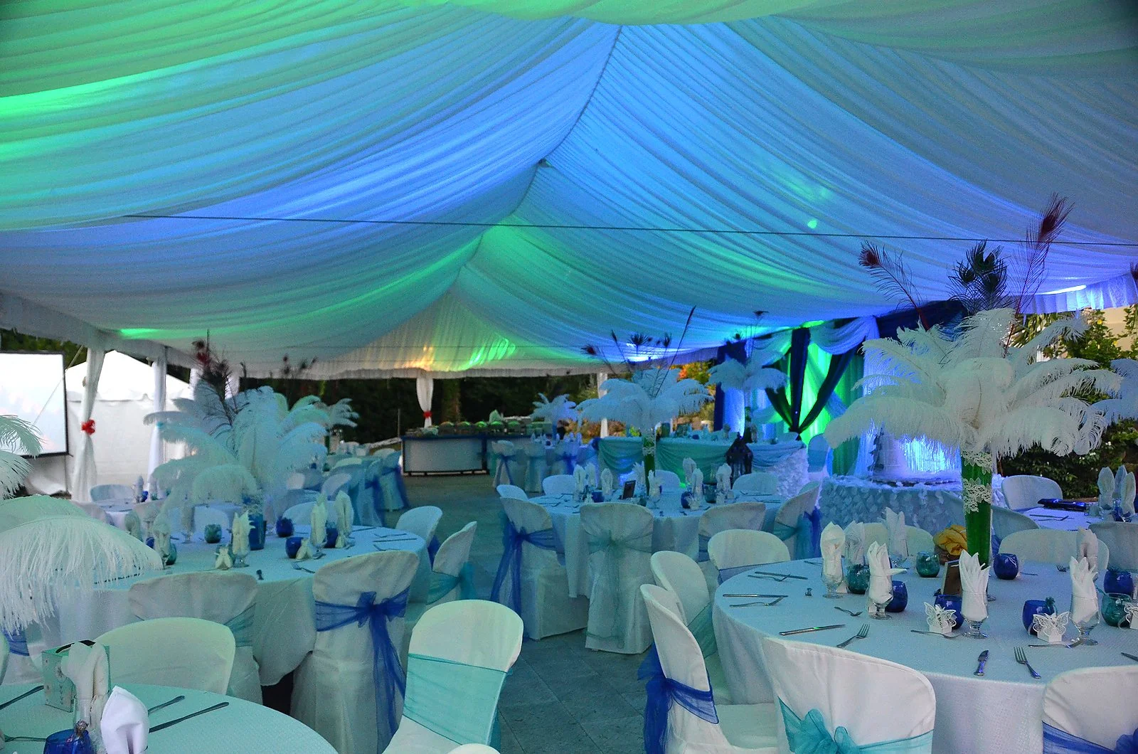 Peacock Themed Wedding Reception