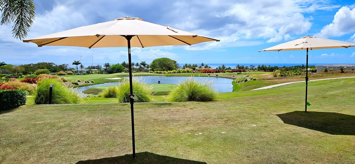 Sun Umbrella, with or without base