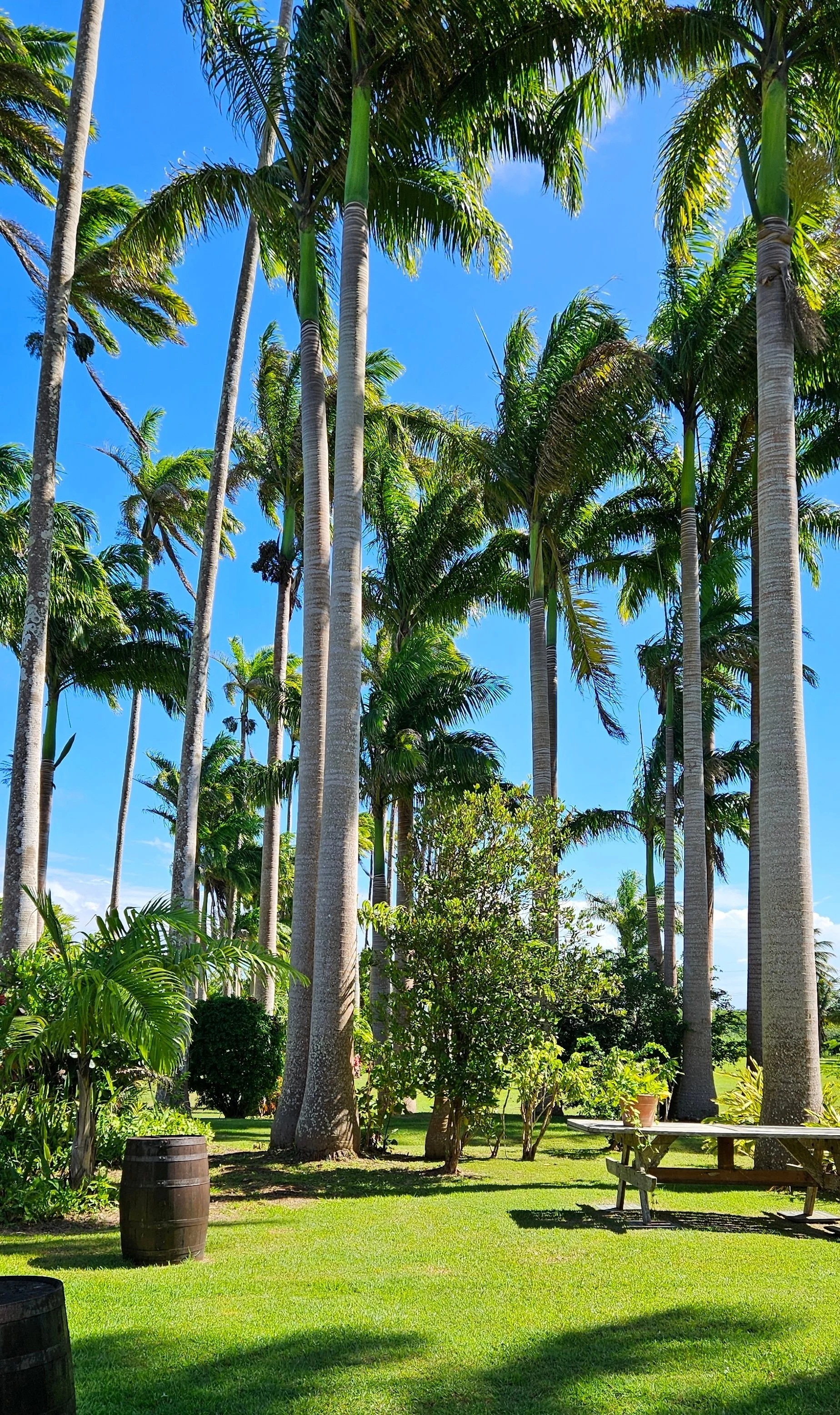 Garden Wedding Venue in Barbados