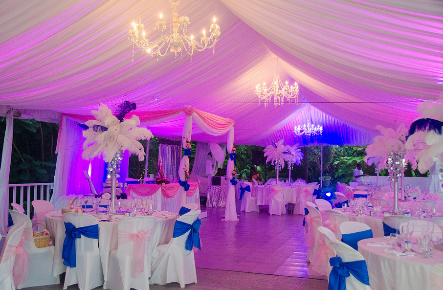 blue feathers tent - asset-1560377882359.png