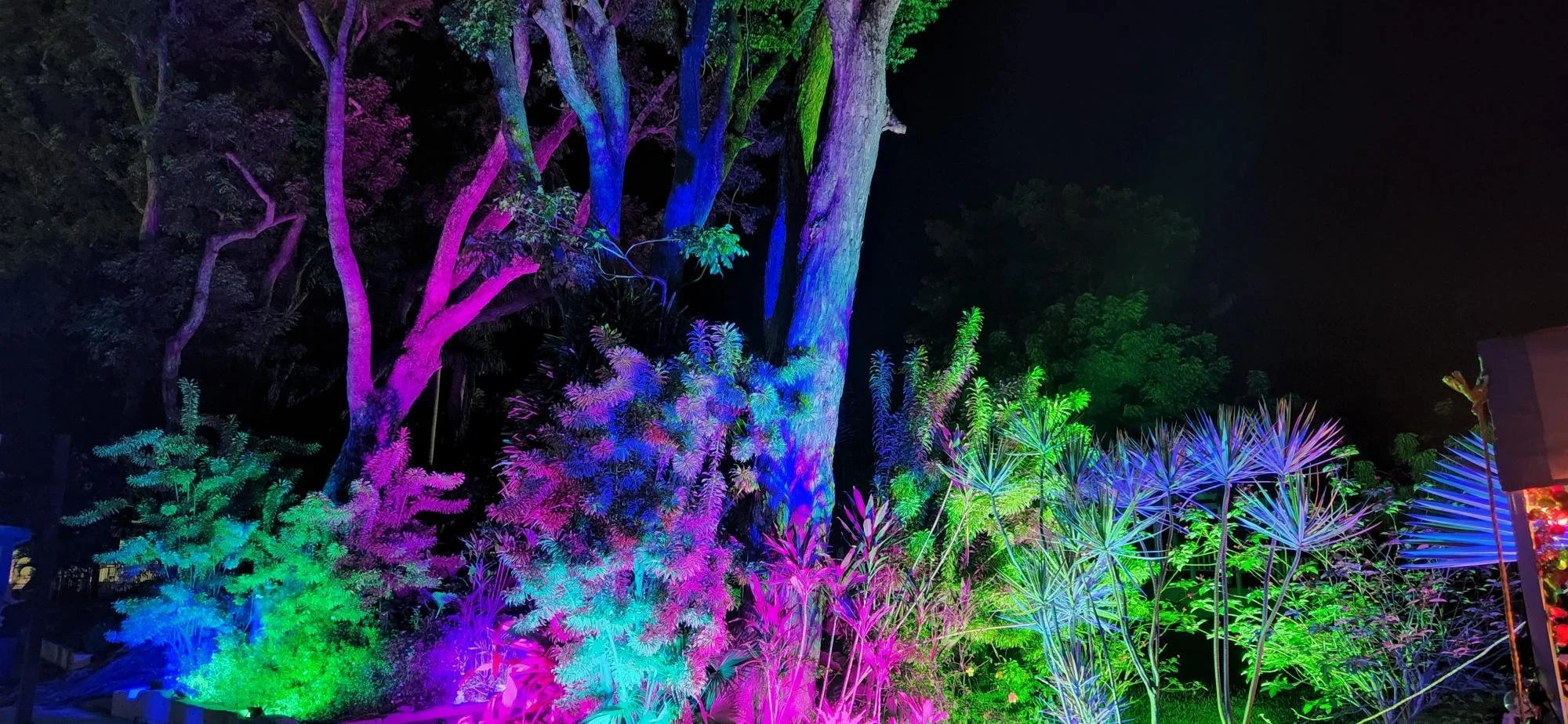 Event Lighting
