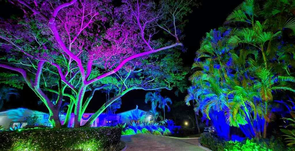 Event Lighting for an event entrance
