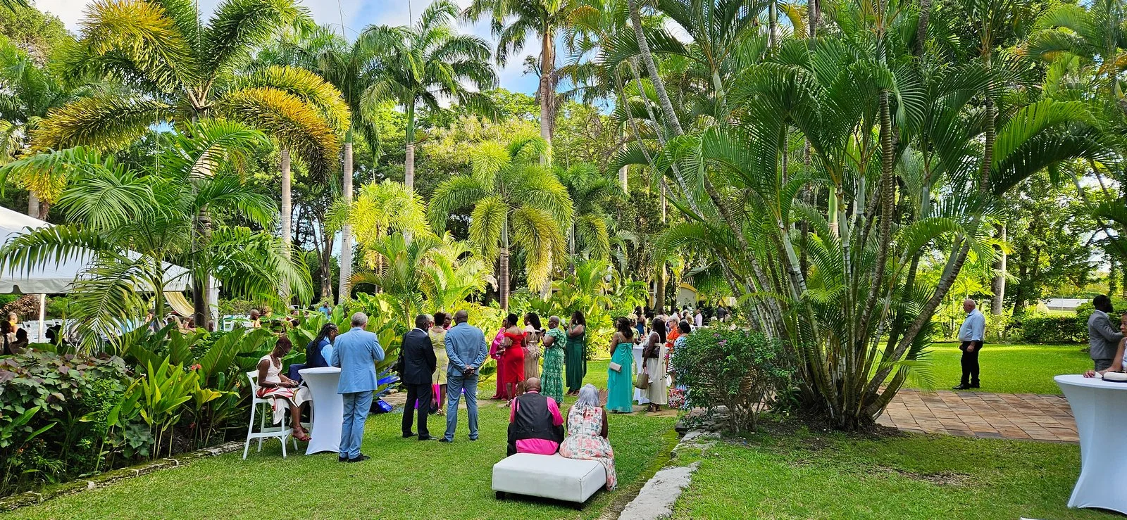 Cocktails on the lawn