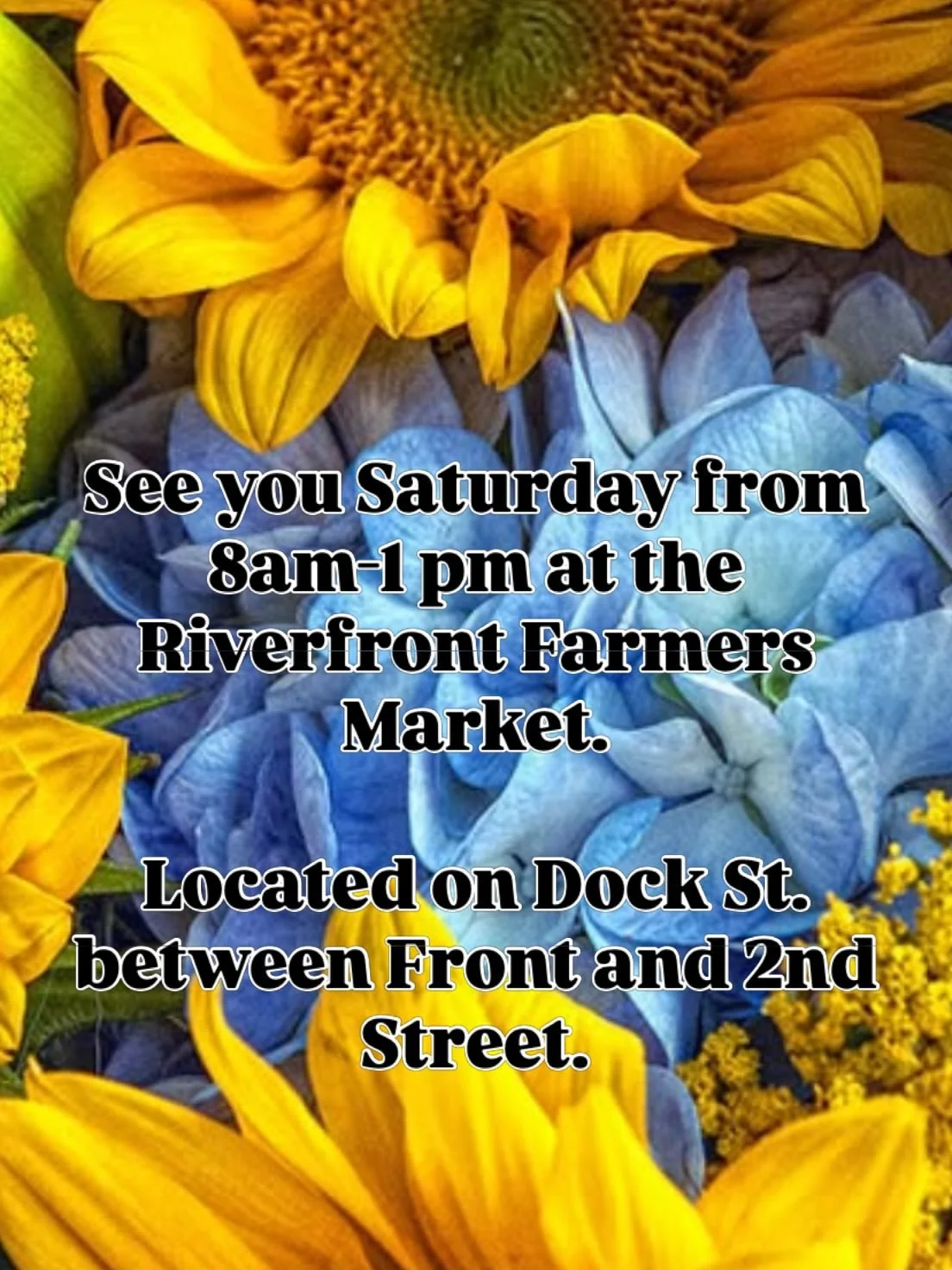 #riverfrontfarmersmarket #wilmingtonnc🕶️