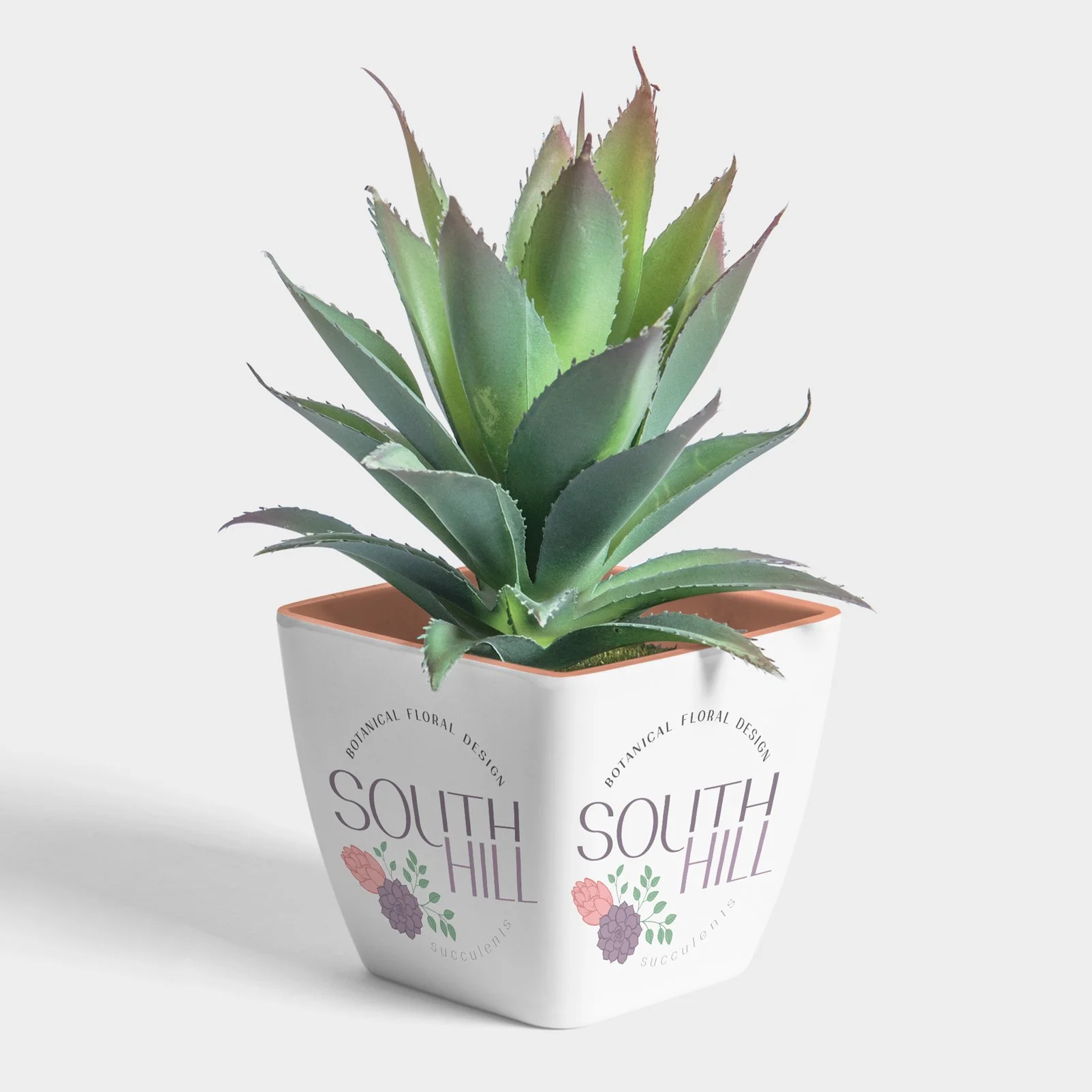 Logo for South Hill Succulents