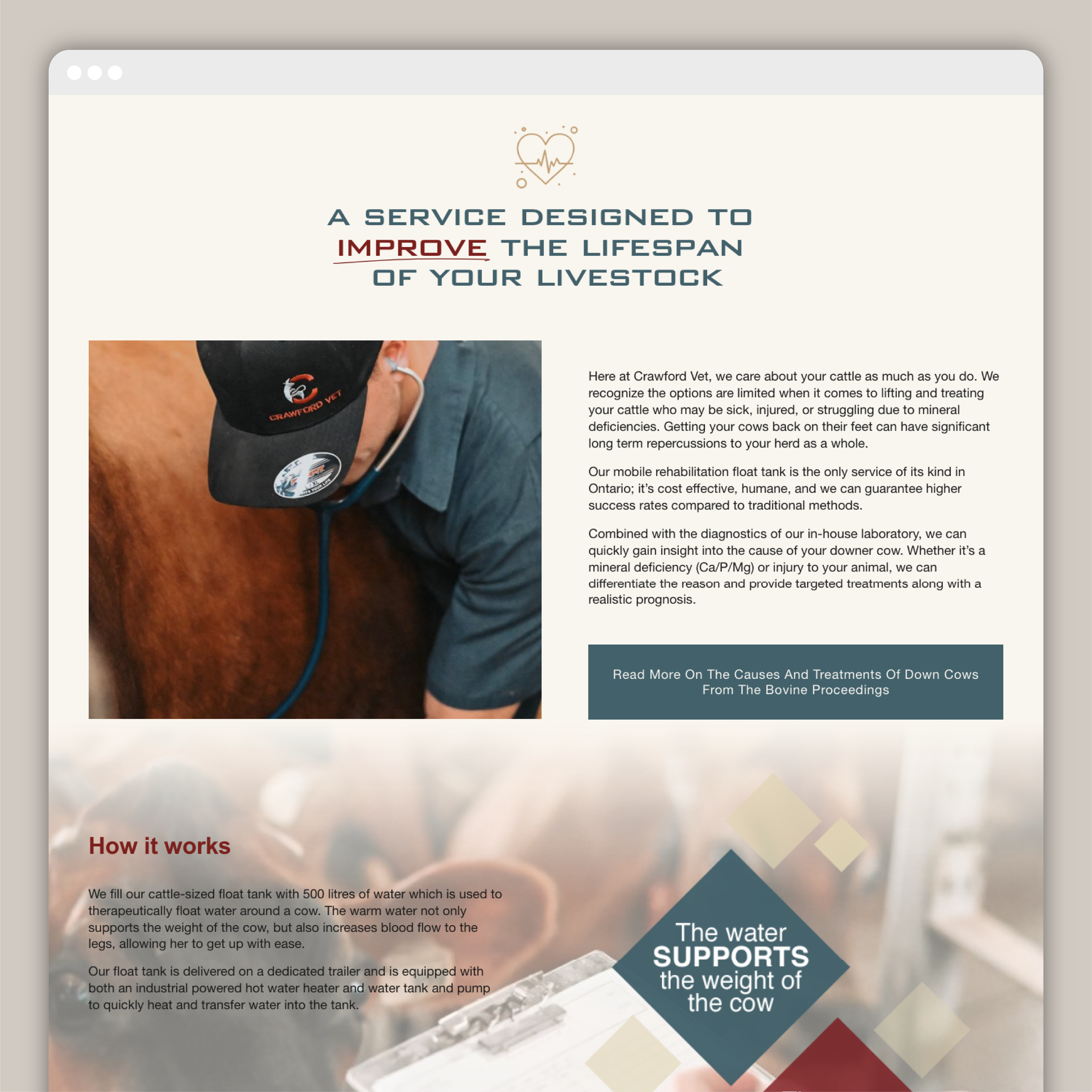 4-CrawfordVetServices-Website-Design-BoulevardNorth-Website-Design-Ontario-Listowel-NorthPerth-SouthwesternOntario-Best-Website-Designer.png