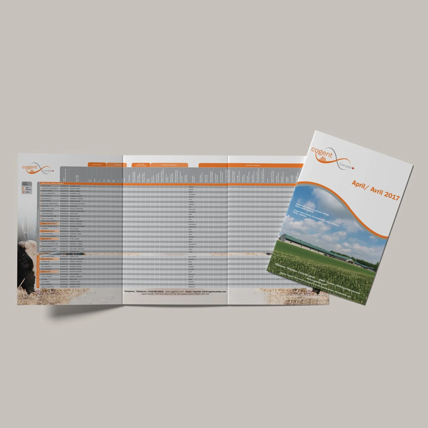 Proof Sheet Brochure for Cogent Canada