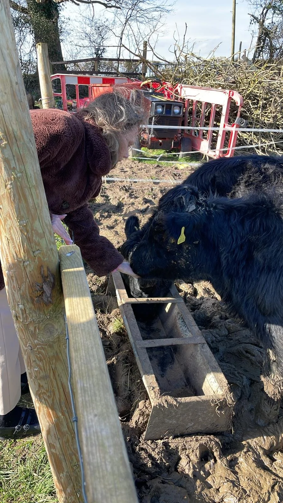 WhatsApp Image 2026-03-02 at 14.01.01.jpeg