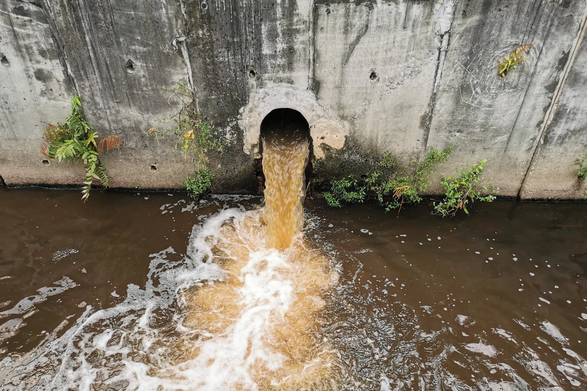 storm-overflow-discharge-sewage-pollution-rsz.jpg