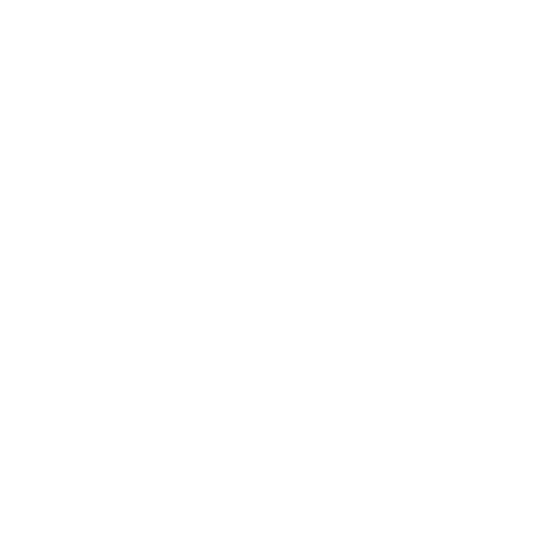Be Magnetic Wellness