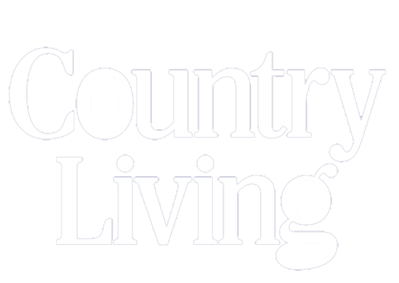 London photographer, portraits for social media, dating apps, professional profiles and headshots