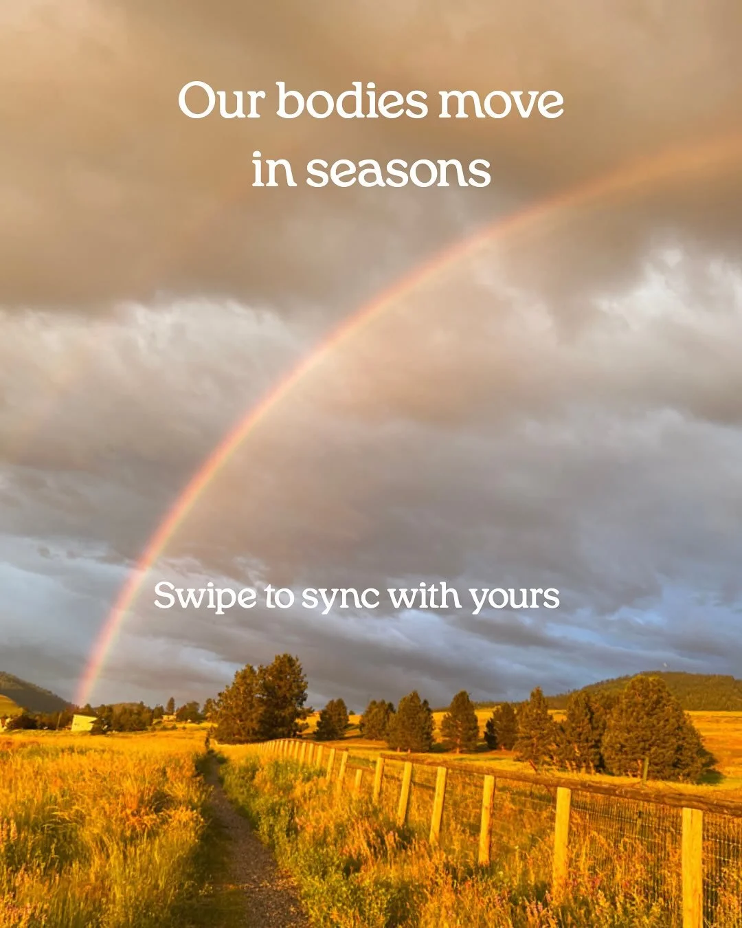 Our bodies move in seasons. 
We rest like winter, rise like spring, shine like summer, and slow like autumn. 

Just like the seasons, our cycles move through these same rhythms &mdash; shifts in energy, emotion, and flow.
When we learn to move with t