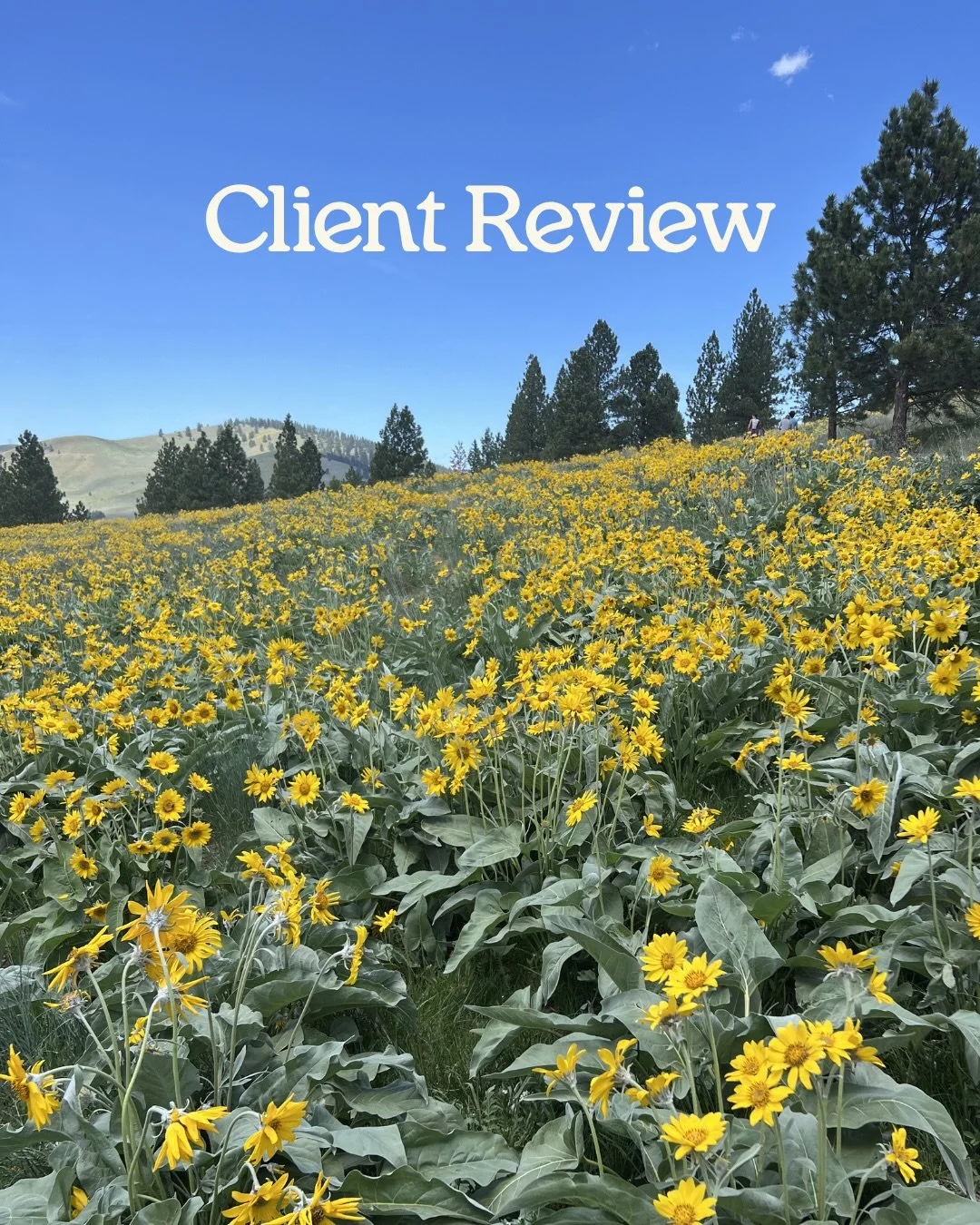 ⚡️ Stretch Review 

This client came in with a tight low back&hellip; and by the time she left, the pain was no longer there 💚

Going out on my own has been nothing short of humbling&hellip; and to be completely honest, imposter syndrome has been a 