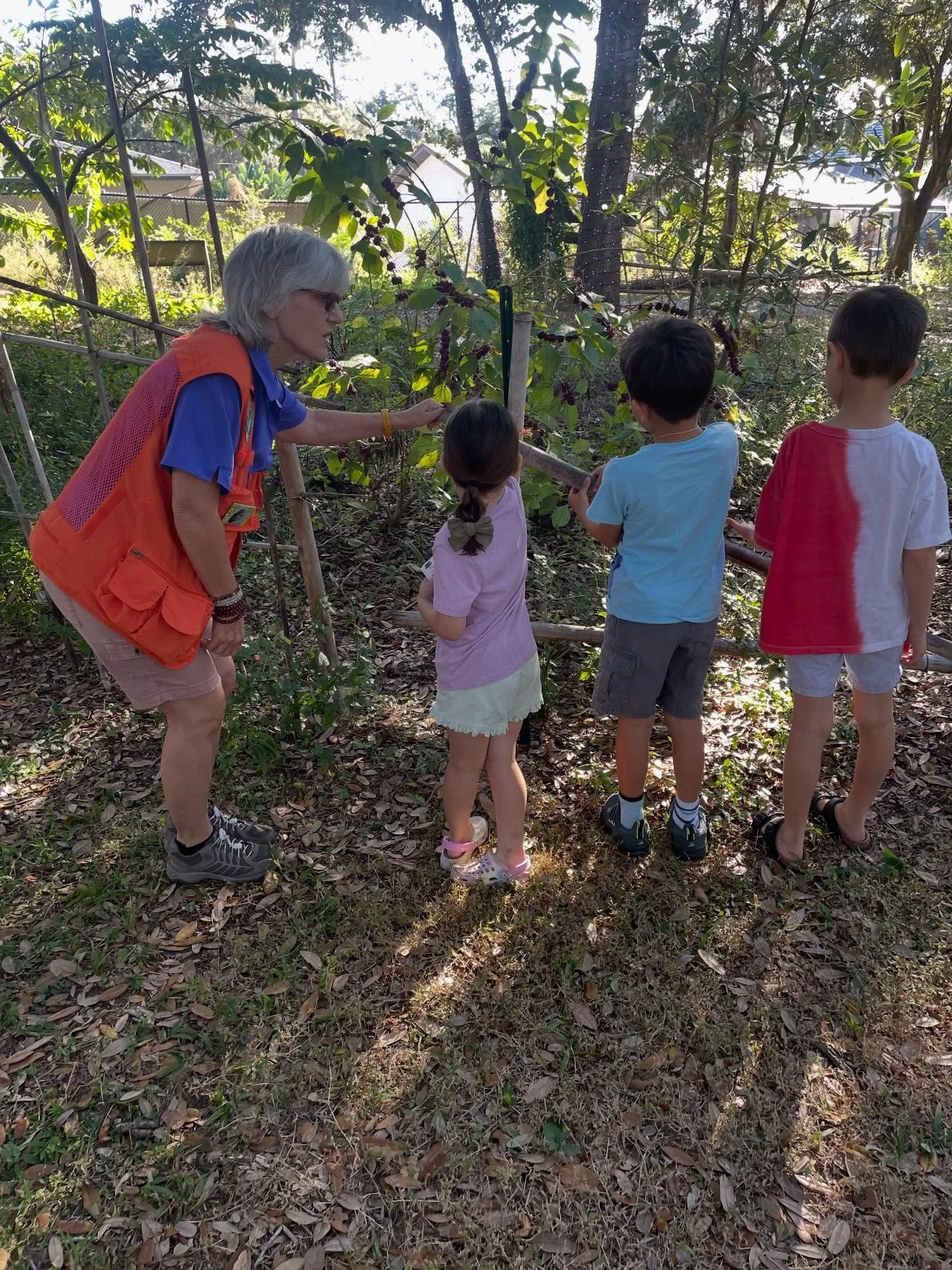 What a magical start to the weekend! ✨🌳 Big thanks to @donna_mansbart for leading our sensory forest adventure today at Folly Farm Nature Preserve! We saw the forest through the eyes of our favorite animals, made bird feeders, patiently searched the
