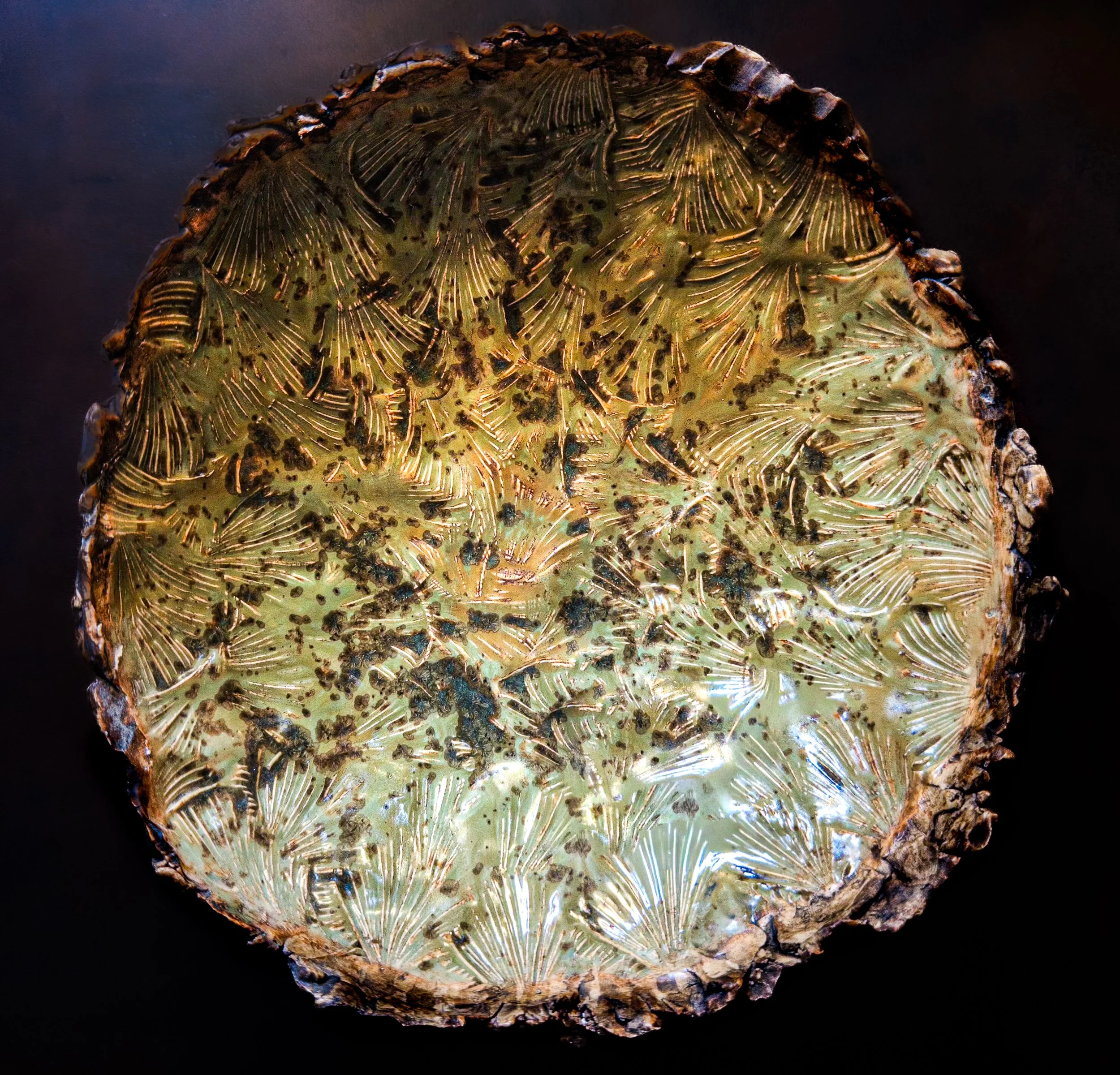 1.Beneath an Ancient Ginkgo-2.jpg