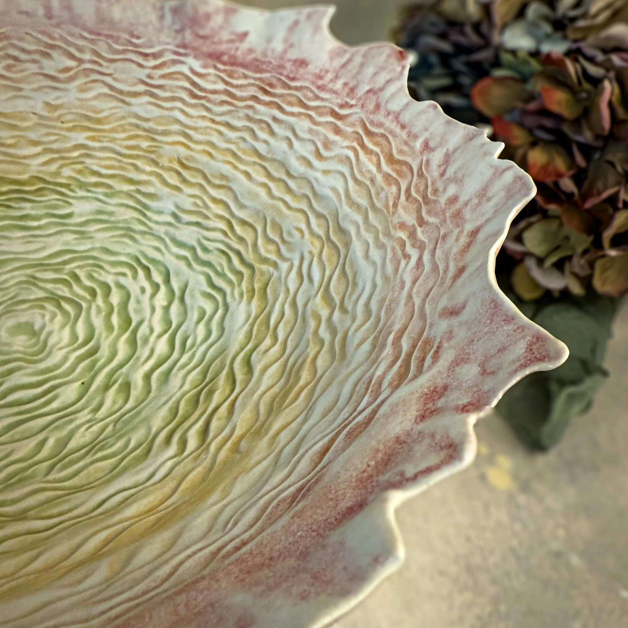 Full Bloom-1 (2).jpg