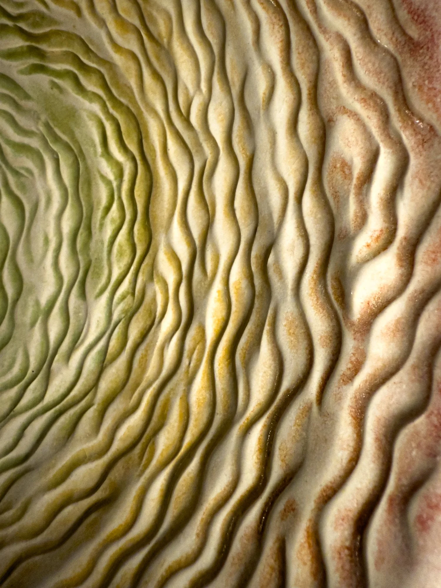 Full Bloom Macro.jpg