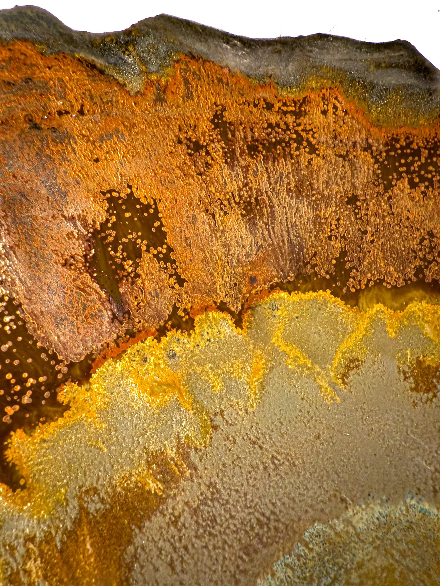 Eye of the Phoenix-1 (2).jpg