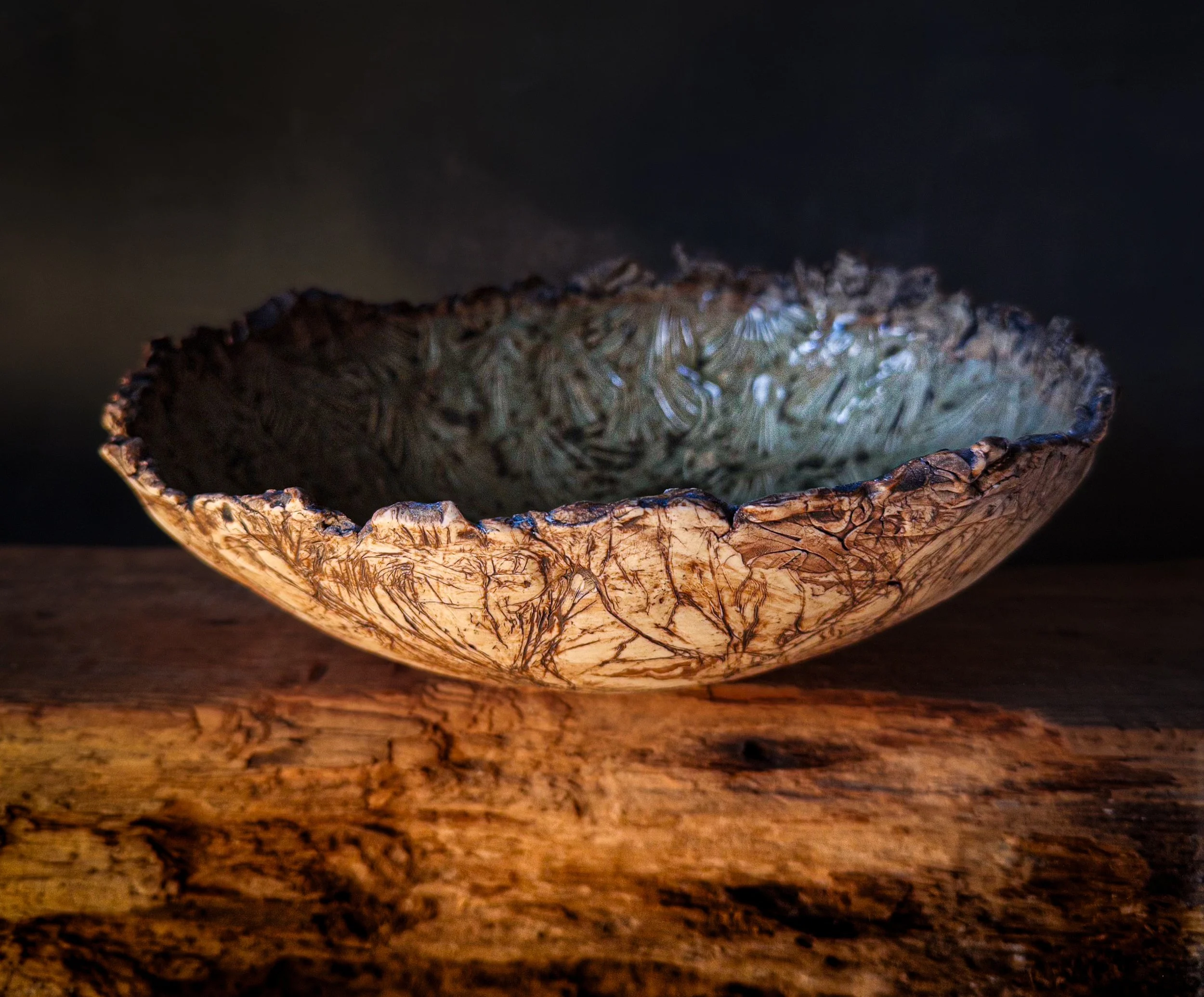 4.Beneath an Ancient Ginkgo.jpg