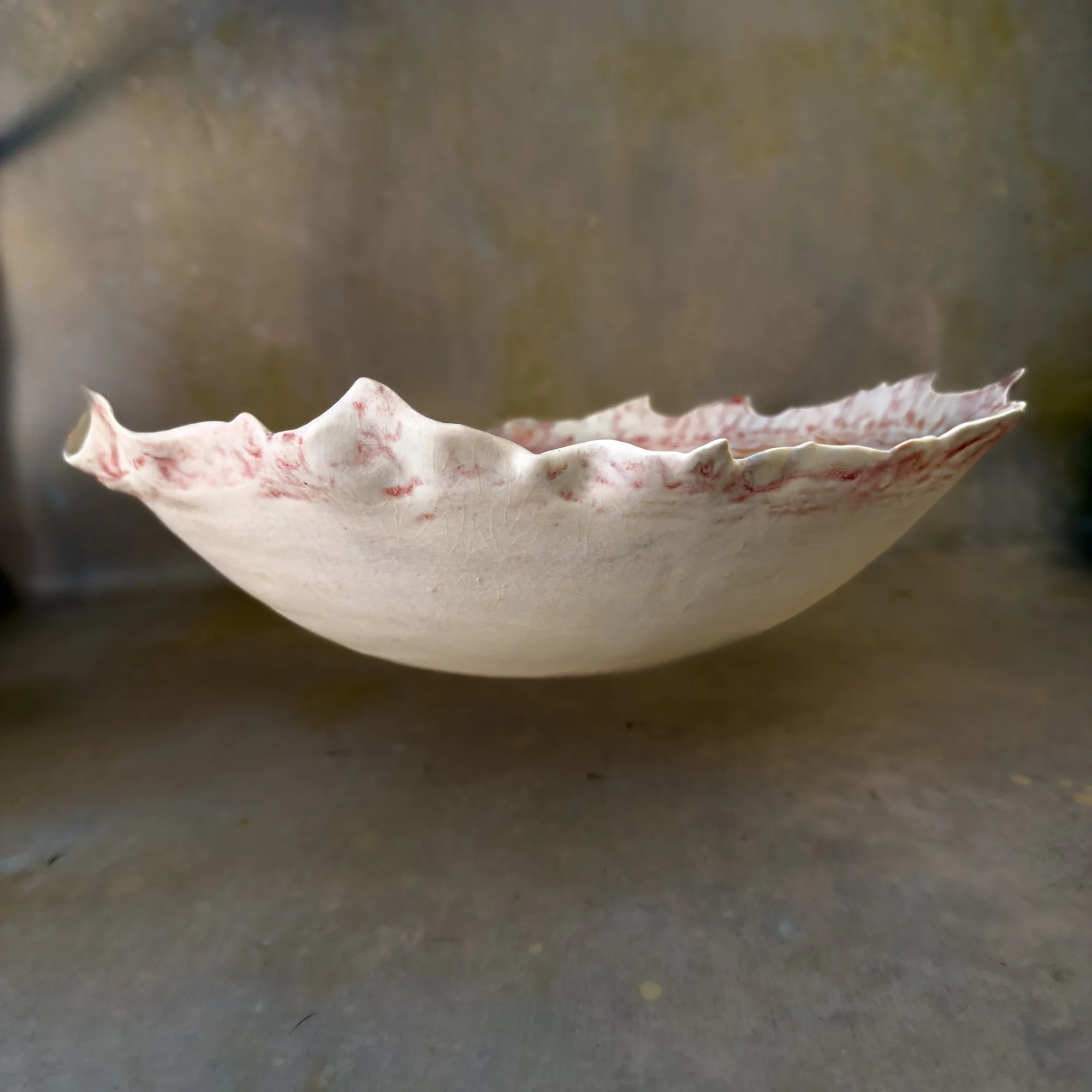 Full Bloom-1 (14).jpg