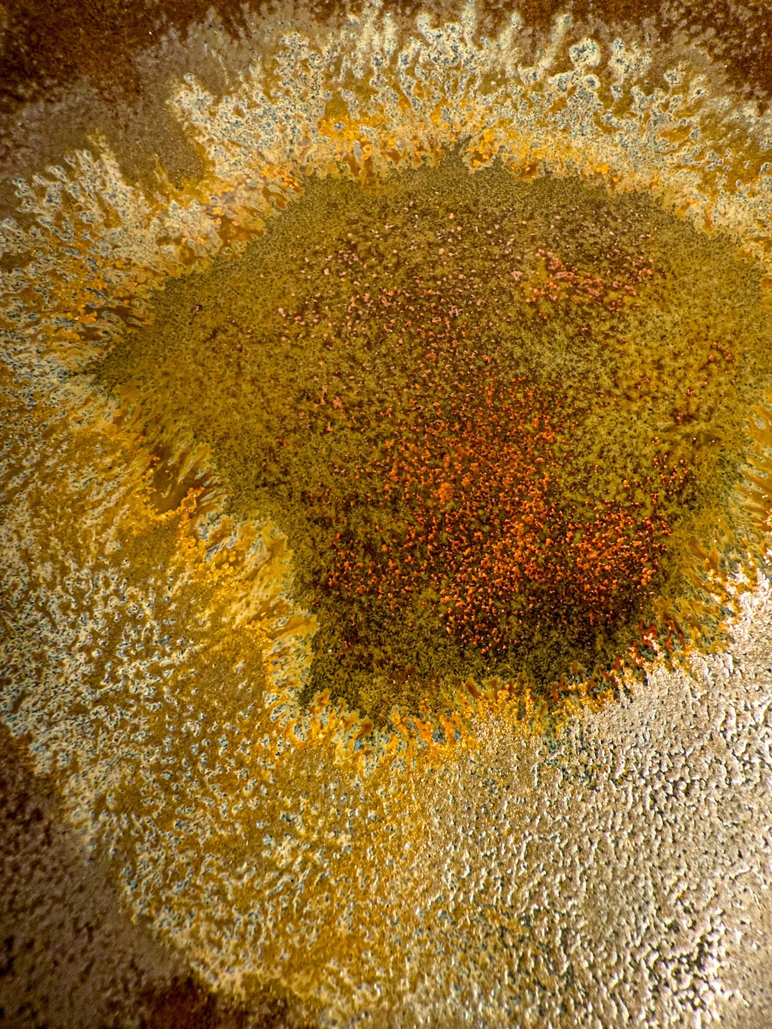 Eye of the Phoenix-1 (1).jpg