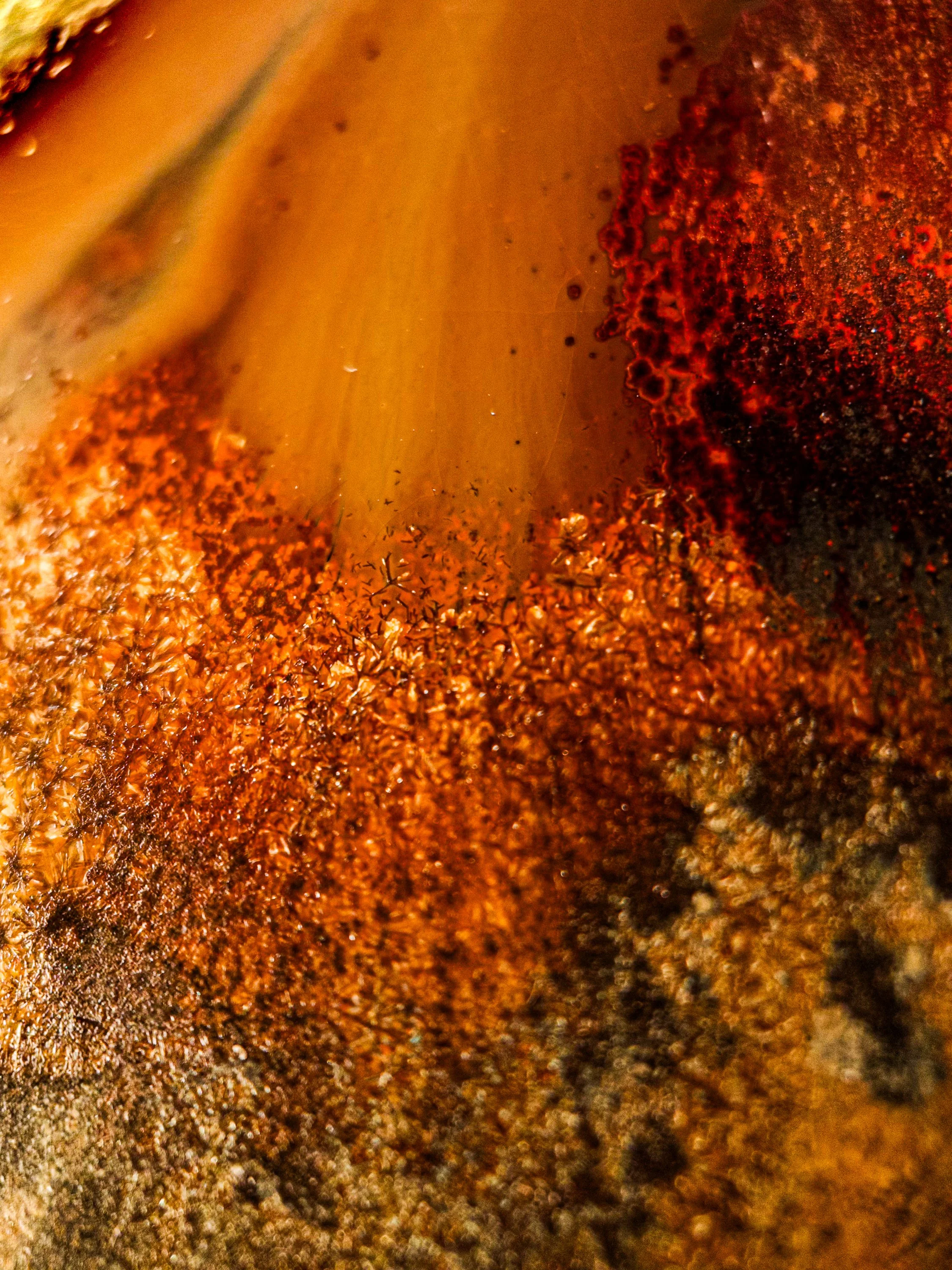 Ring of Fire Macro.jpg