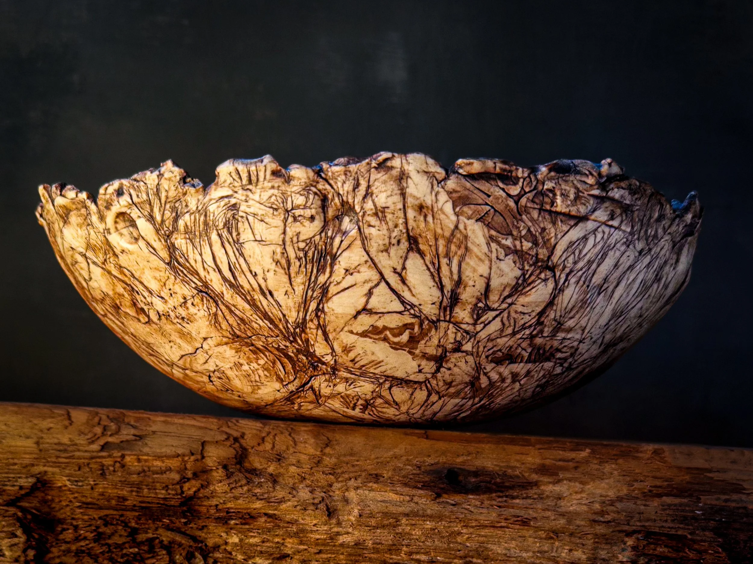 3. Beneath the Ancient Ginkgo.jpg