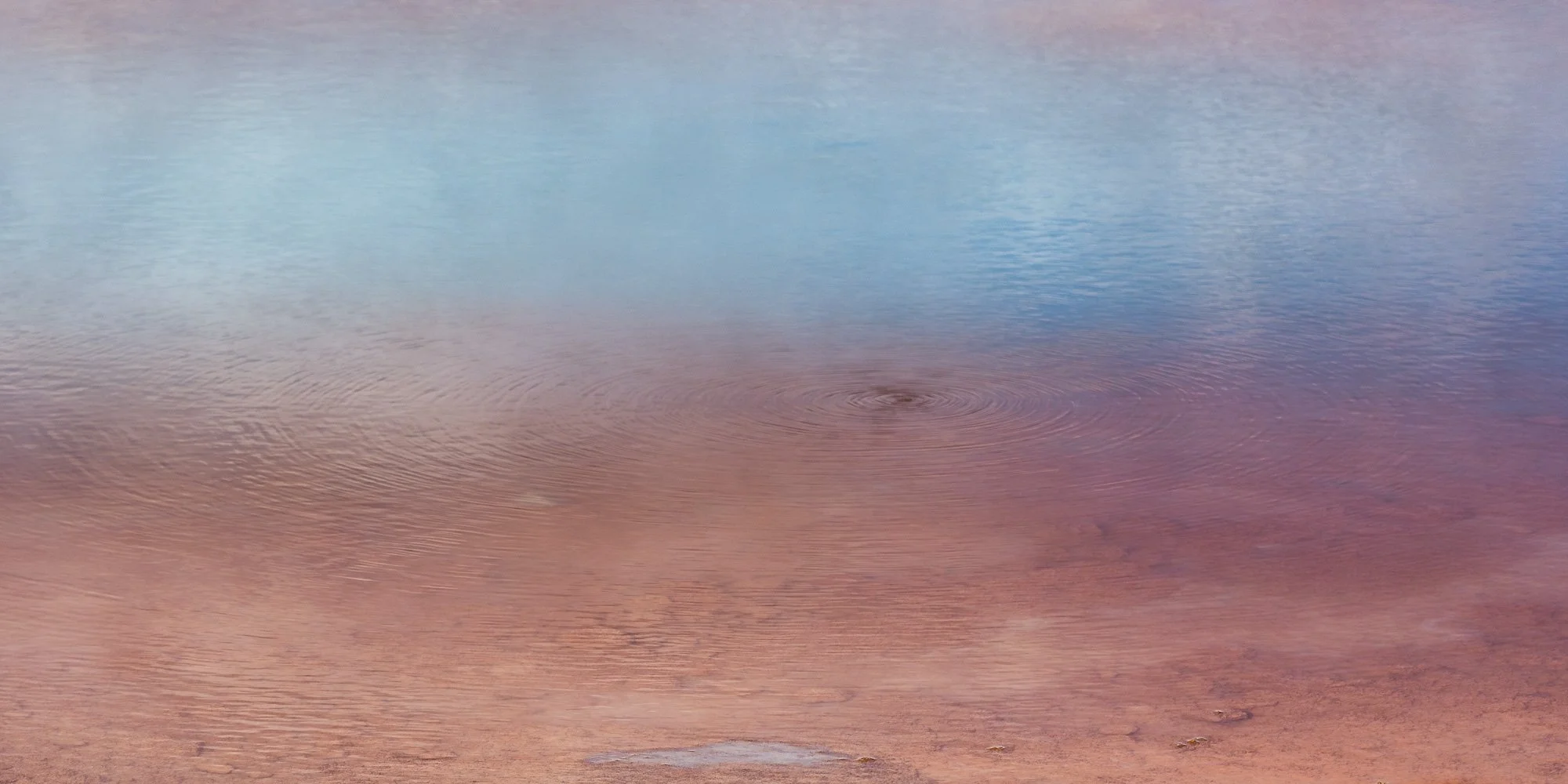 03-YLSTN_20210517_7R30678-1237-Edit.jpg