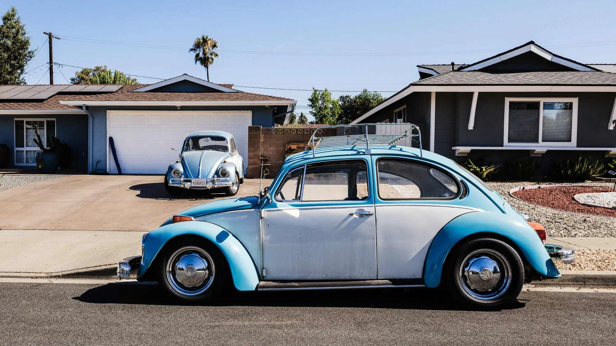 Burbs-GFX-20250807-0201-Edit.jpg