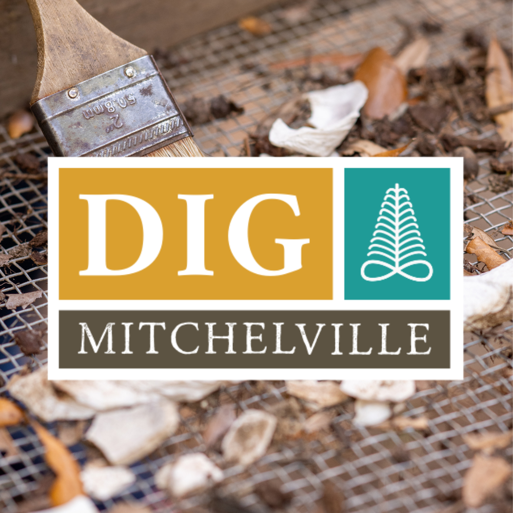 Dig Mitchelville