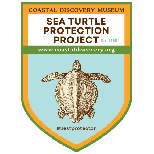 Sea Turtle Protection Project