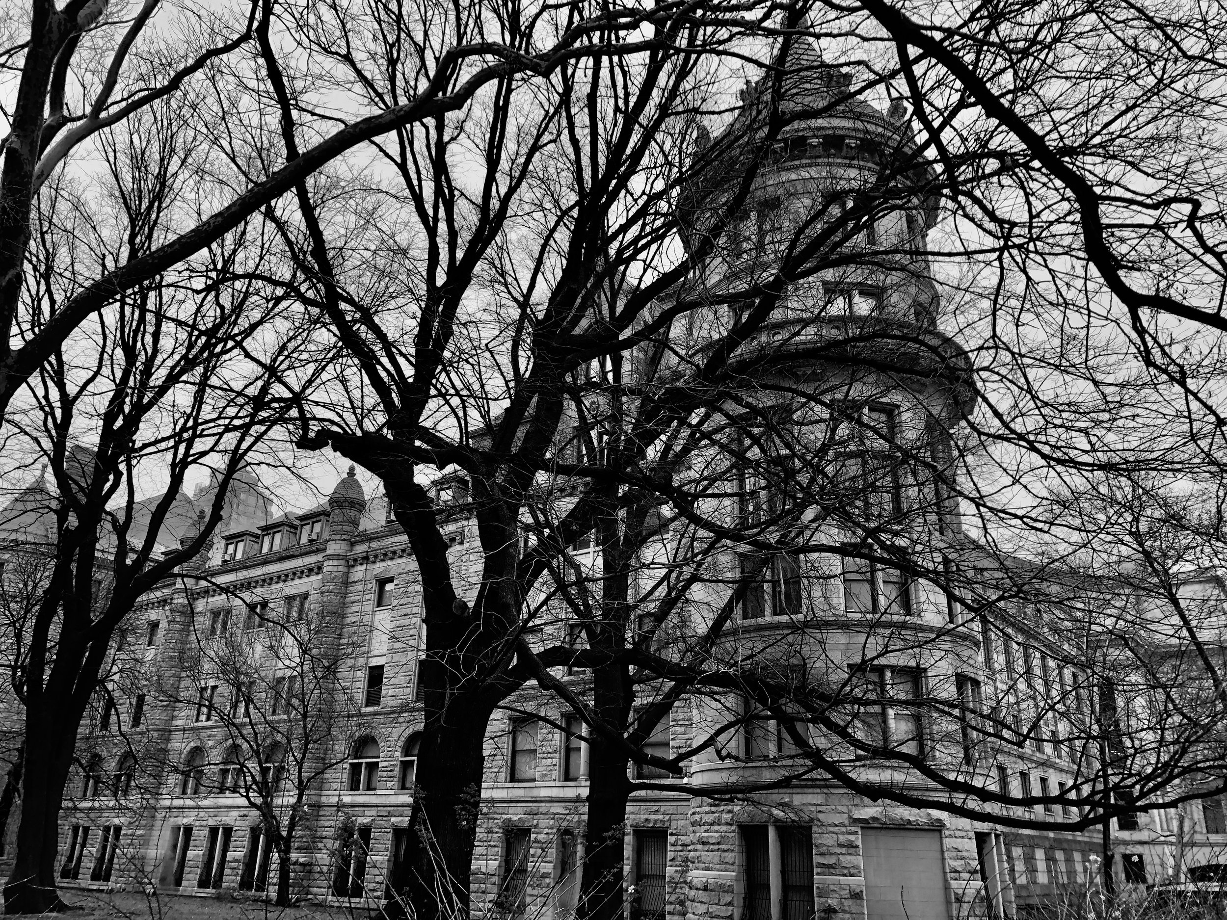 New York, Gilded Age, Architecture, nature, trees, art, black and white, black and white photography, New York City, library, Upstate New York, artist, art, Mara Pratt