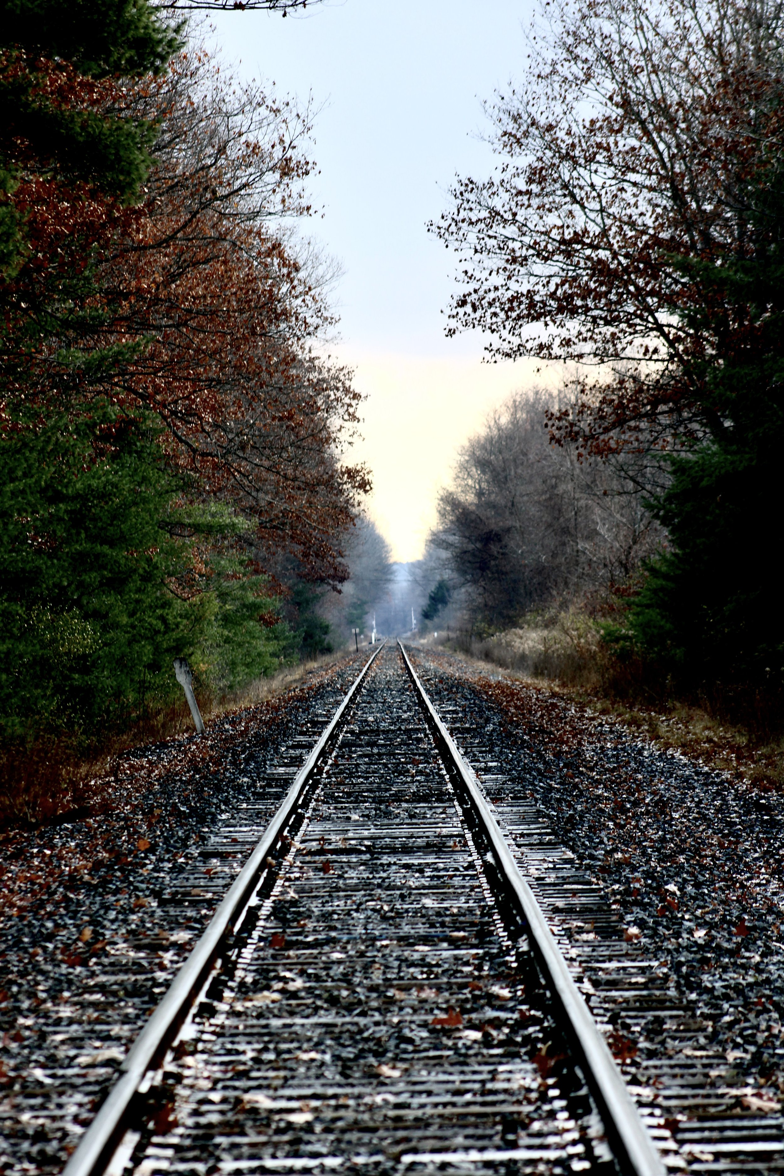 Railroad, color, fall, fall colors, photo, photography, prints, Watkins Glen, Upstate New York, Fingerlakes, Explore, Travel, Photography, Upstate New York Artist, Mara Pratt