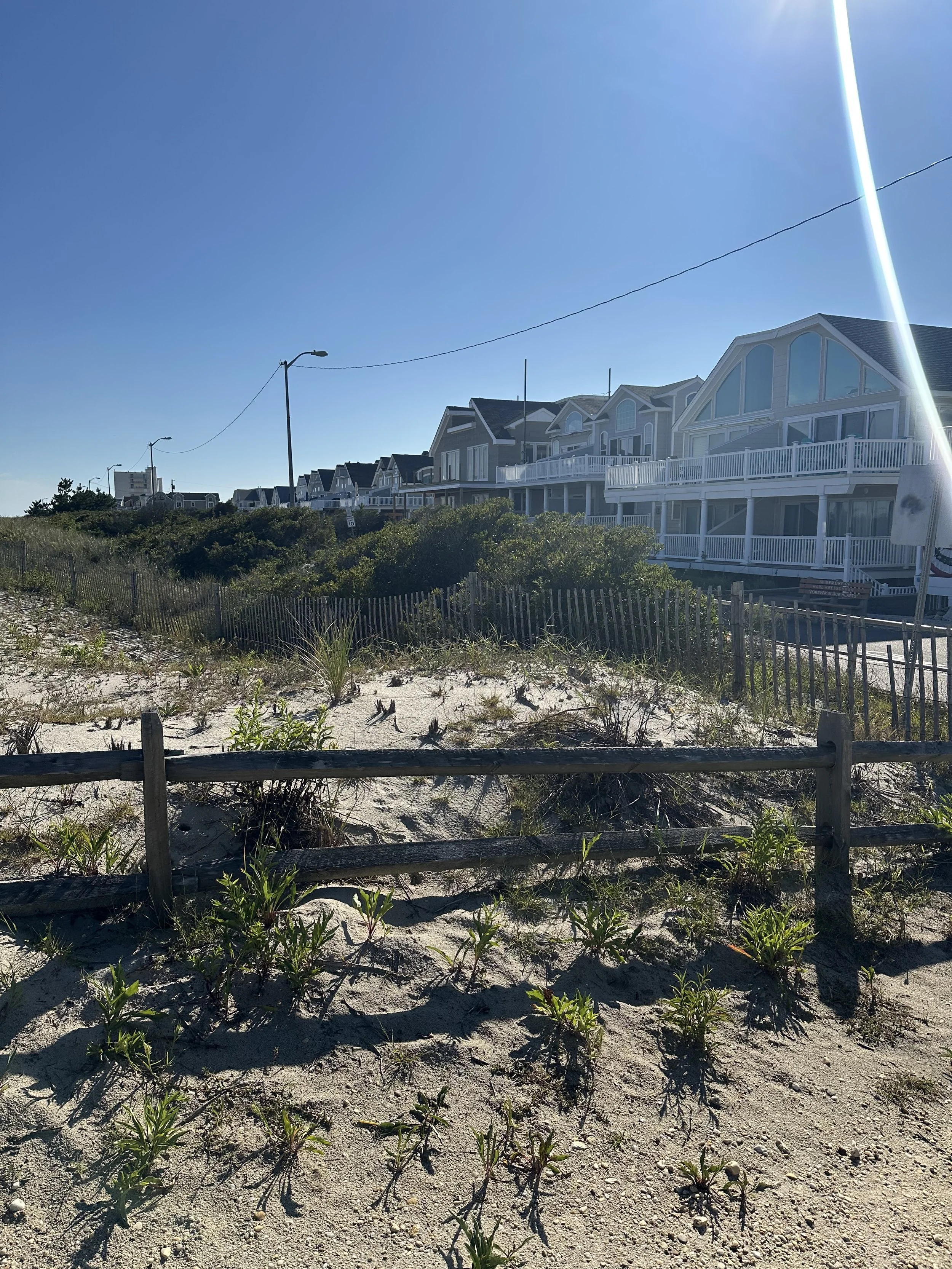 Sea Isle City Promenade Photo of dunes and Local homes