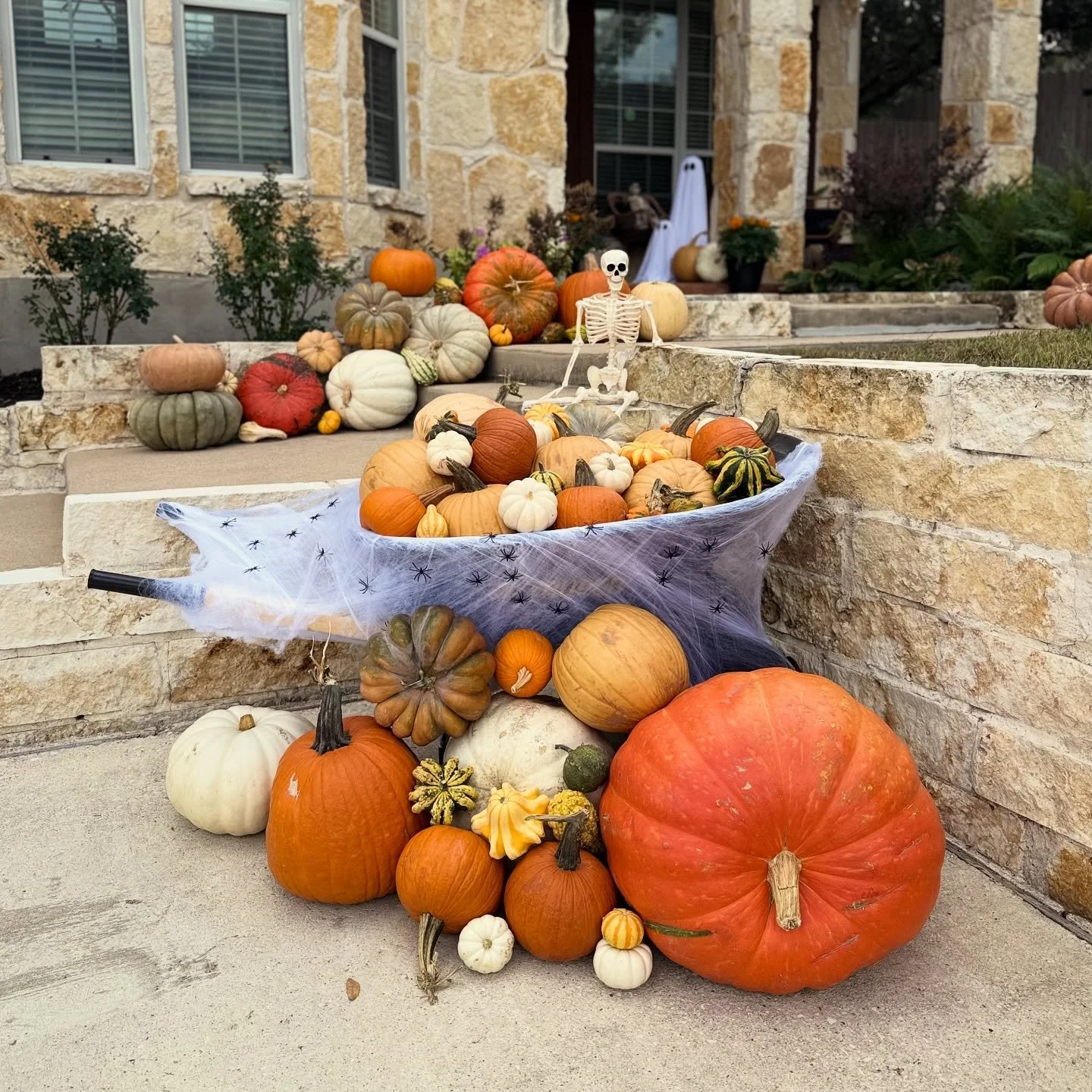 That&rsquo;s a wrap! We finished our final displays of the season but still have some extras: Big Macs (example big boy in the bottom right of photo), classic Jacks, small orange pie pumpkins (examples next to Big Mac in photo), and lots of gourds an