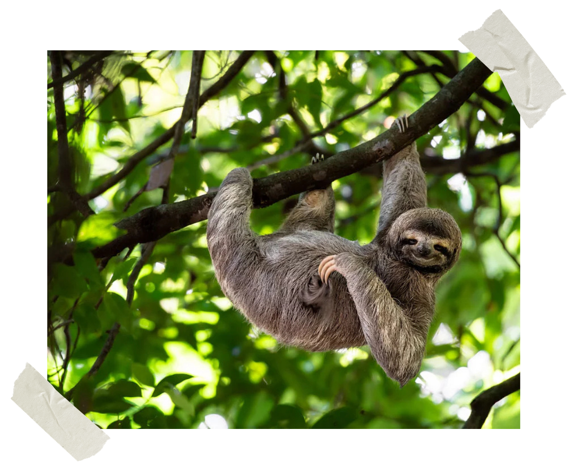 Journey to Panama, with Emma