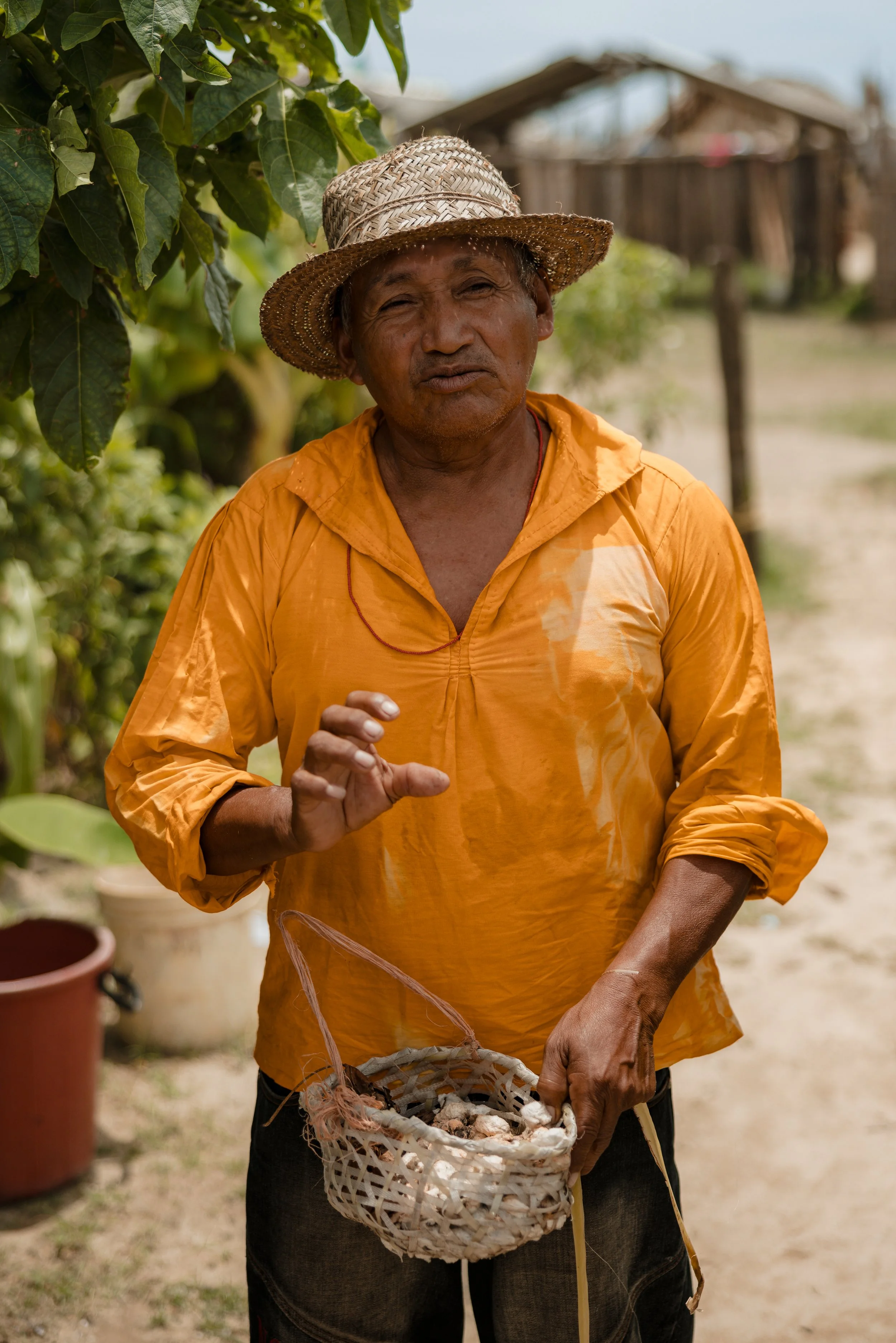 Guna Yala - Botanist explaining cotton plant.jpg
