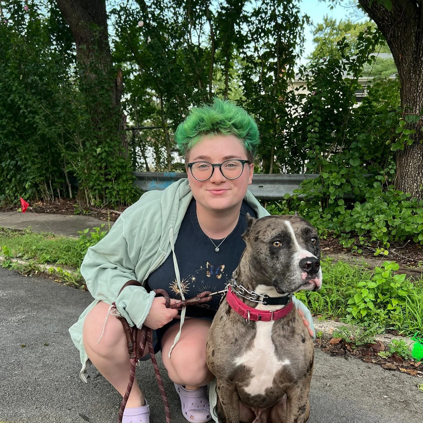 Meet Dante! Dante is a rescue pit mix that I took care of last weekend. He is 80% muscle and 20% kisses and cuddles. He is super goofy and such a gentle giant!🐶