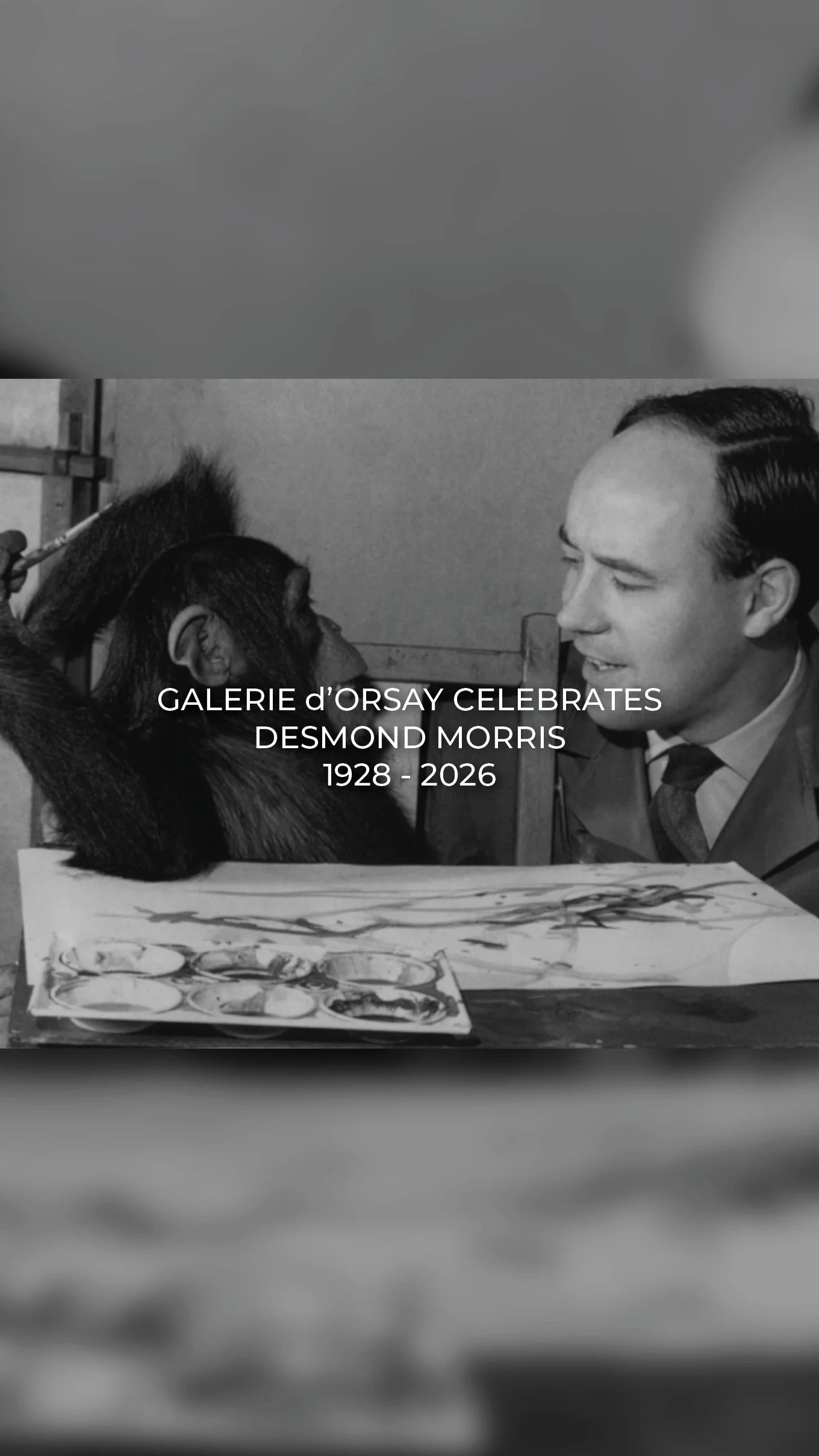 morris webslide2.jpg