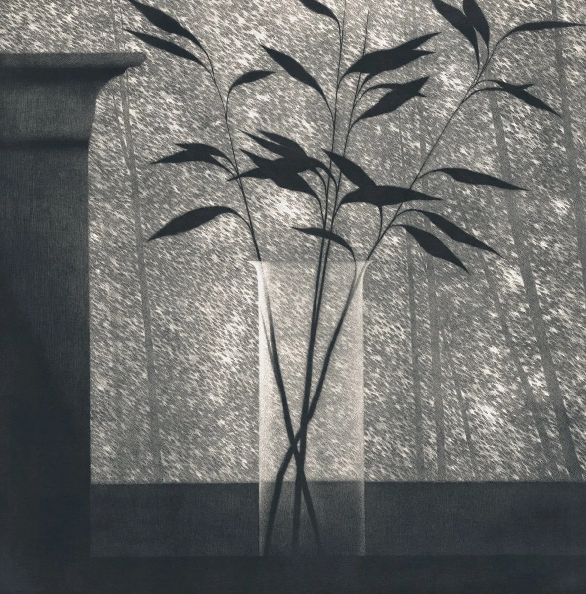 Robert Kipniss Black and white mezzotint print of branches in a glass vase in front of a window