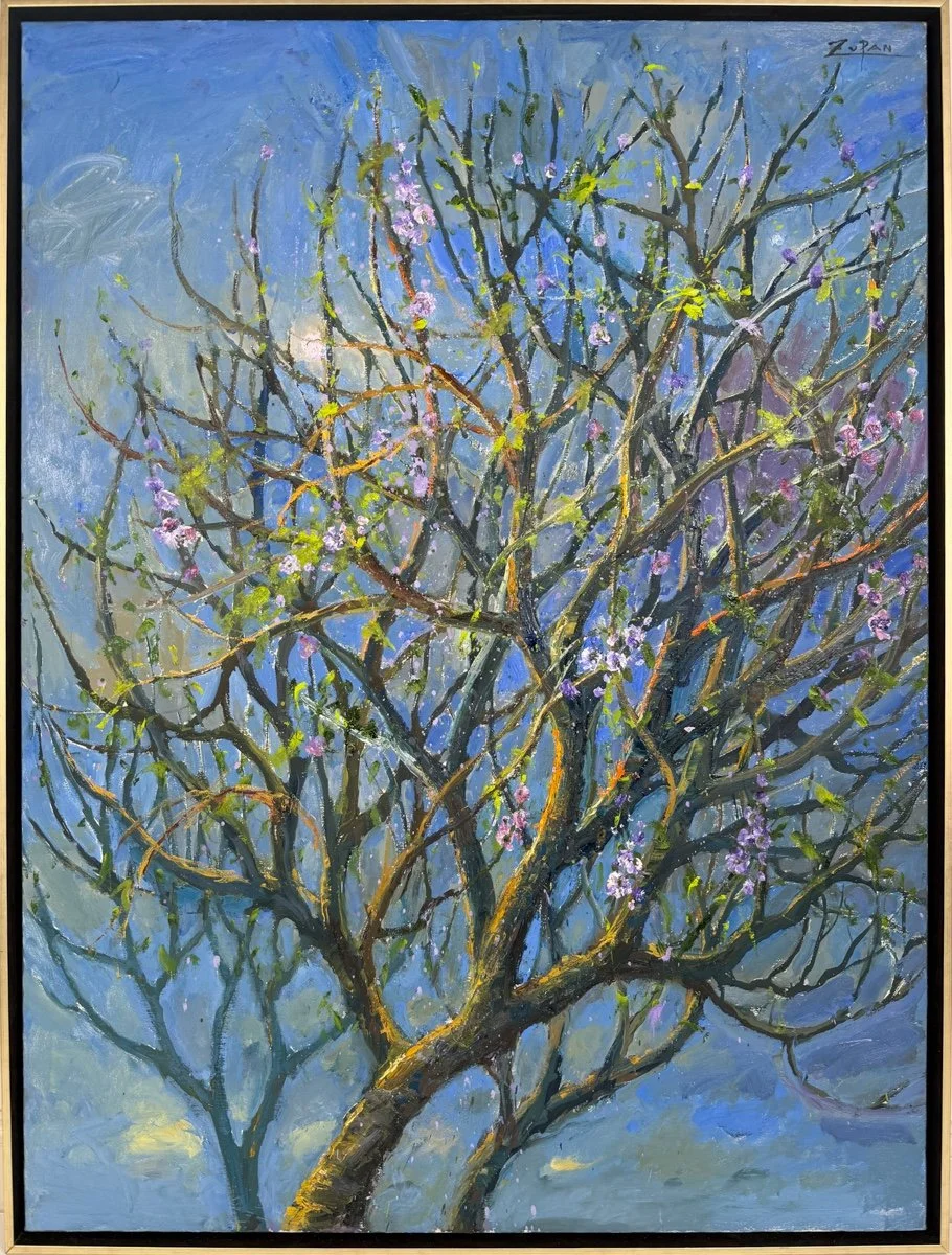 Bruno Zupan Almond Blossoms, Almond Branches, impressionist oil painting of almond blossoms in almond tree branches with blue sky background
