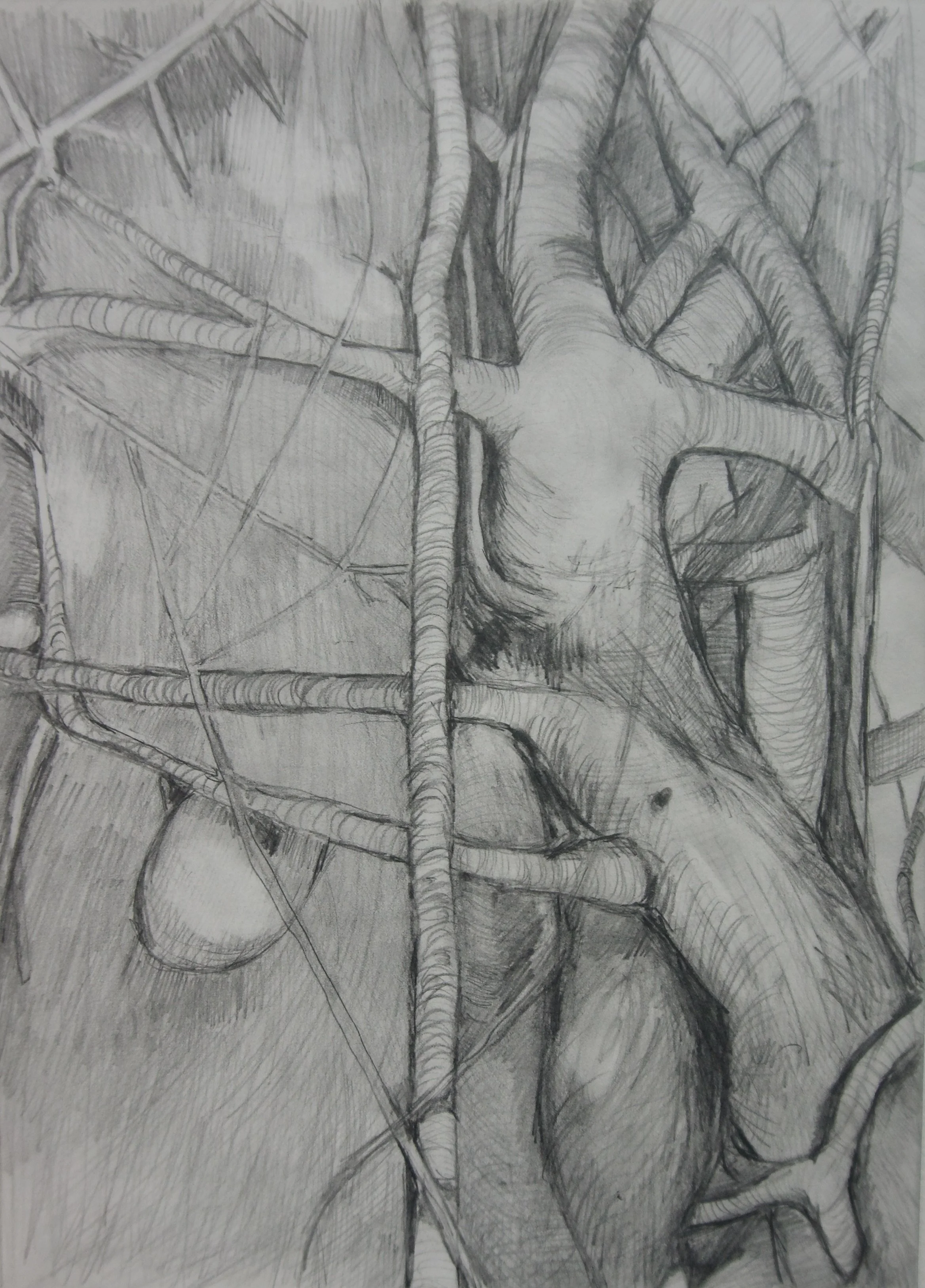 Natasha Zupan - Afterglow #46, ink on paper drawing of tree like patter interwoven