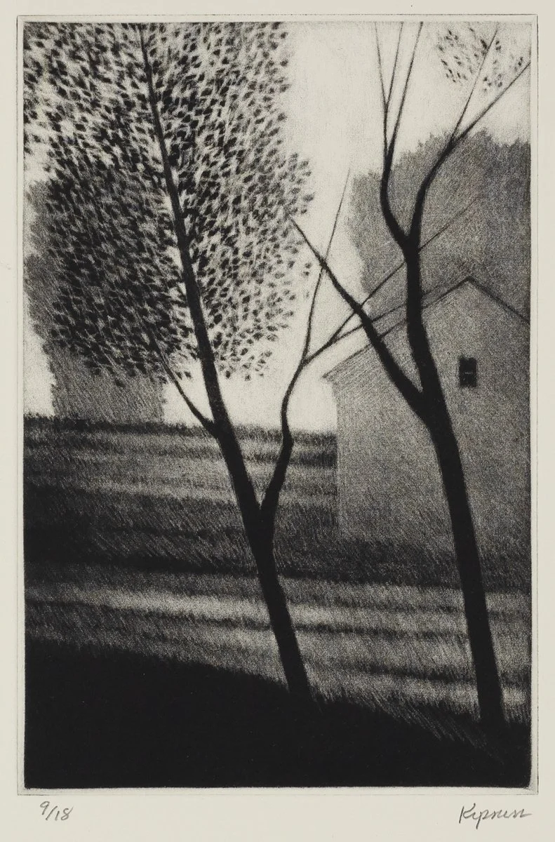 Robert Kipniss Landscape w/ one window, mezzotint of a barn house with trees and grassy field