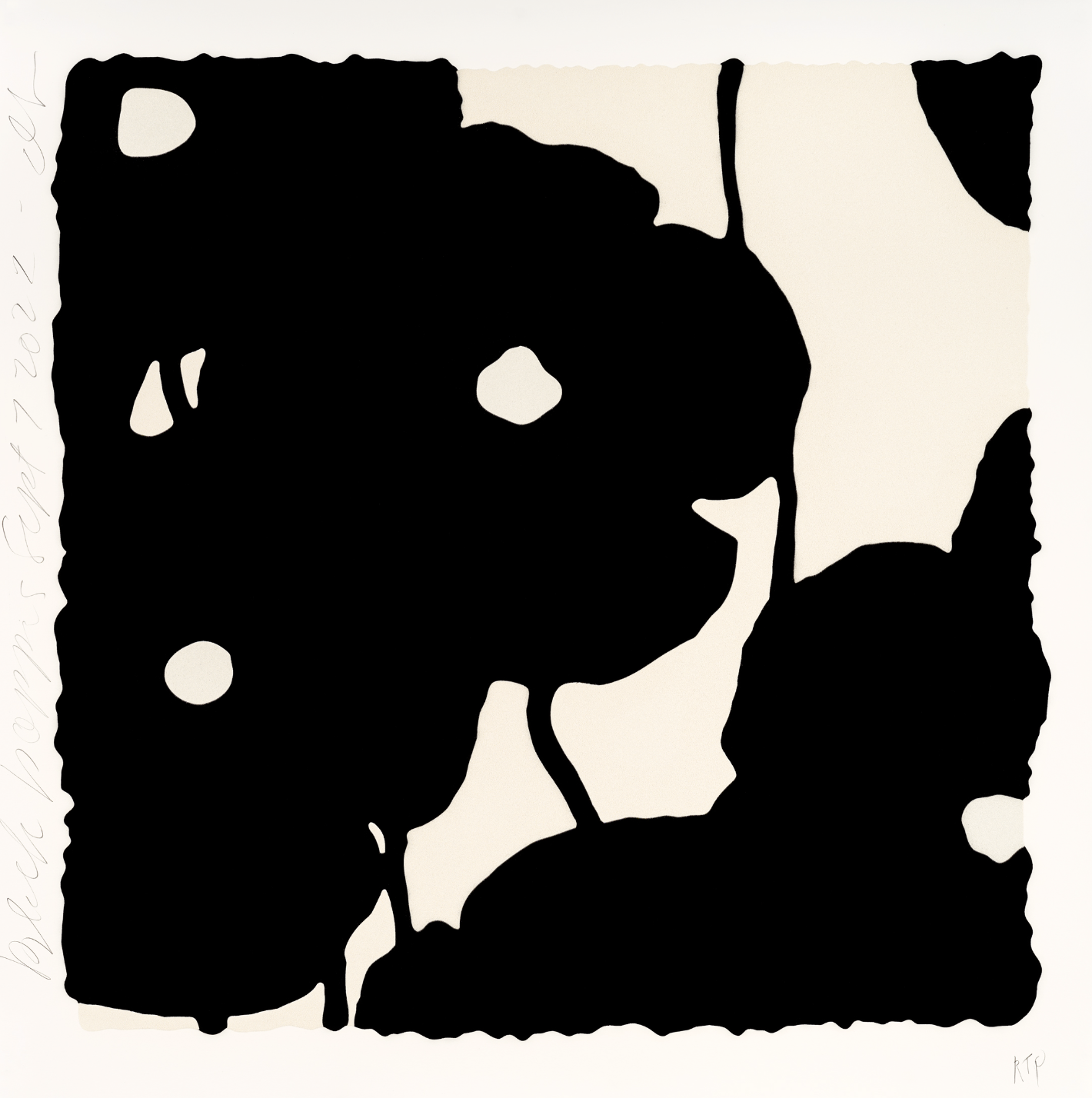 Donald Sultan BLACK POPPIES, SEPT 7, 2022, black poppies on white, color silkscreen print