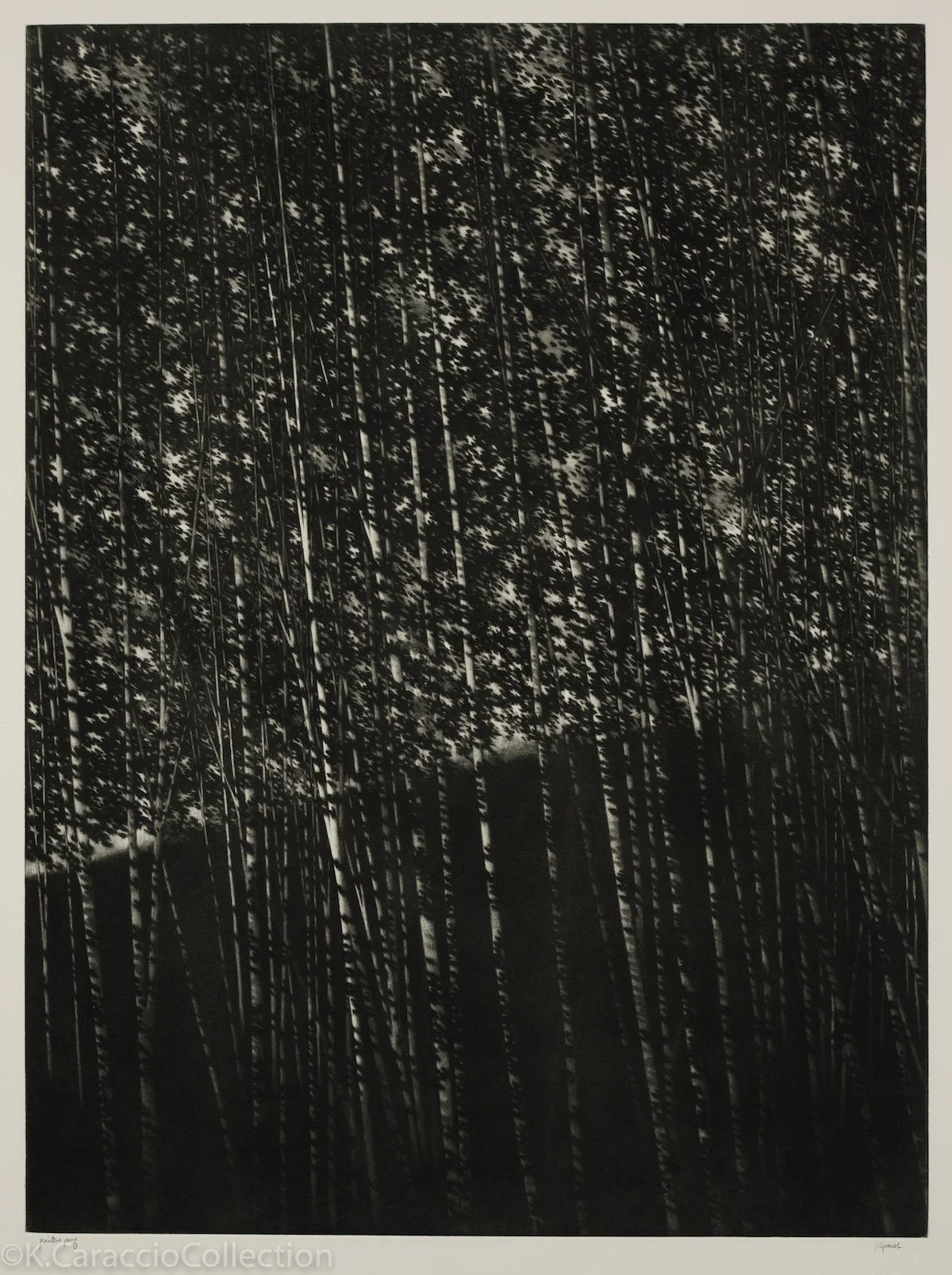 Kipniss, Robert - The white forest - black and white Mezzotint with dense forest