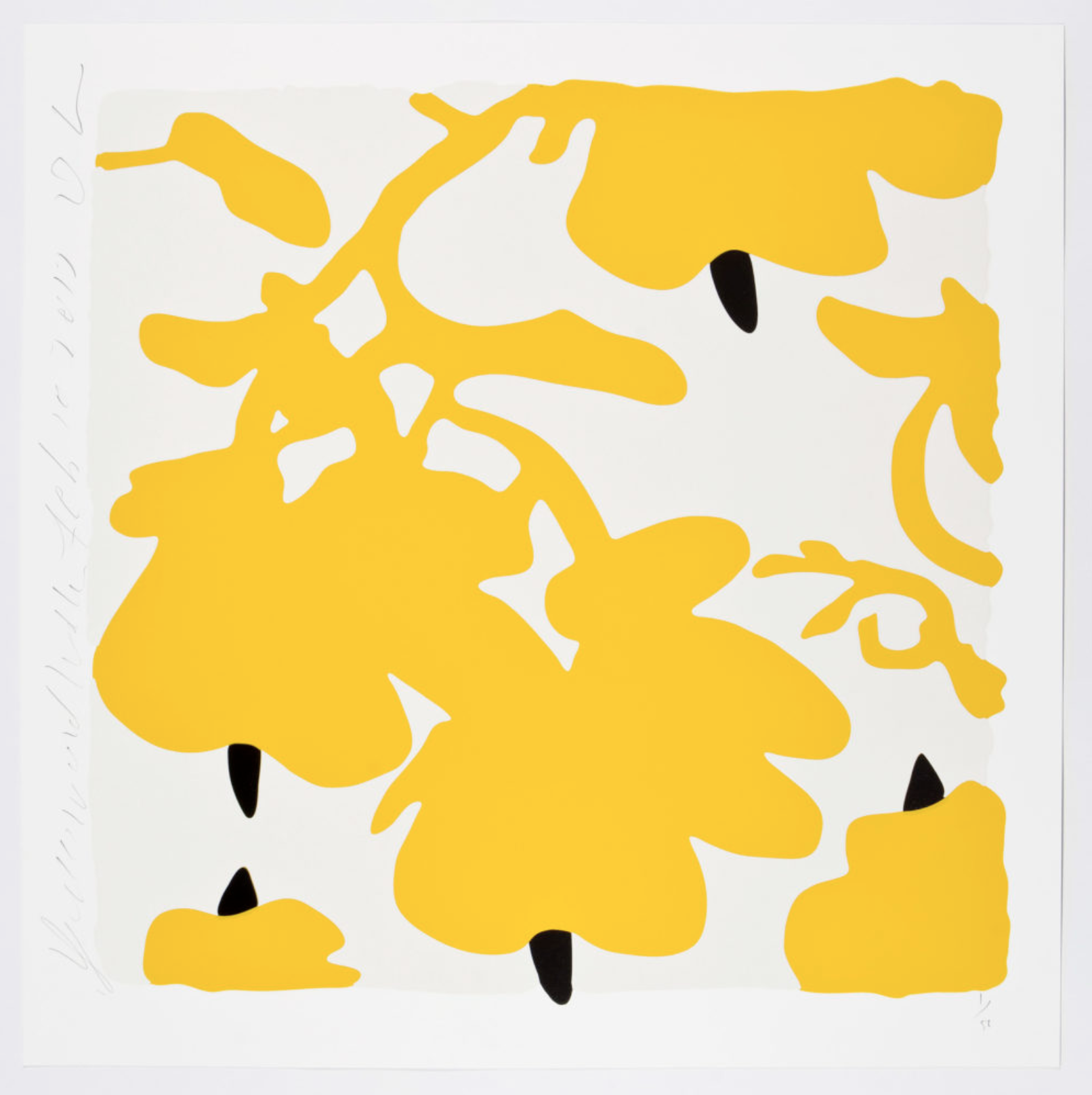 Donald Sultan YELLOW AND WHITE LANTERN FLOWERS, FEB 10, 2017, yellow lantern flowers on white, color silkscreen print
