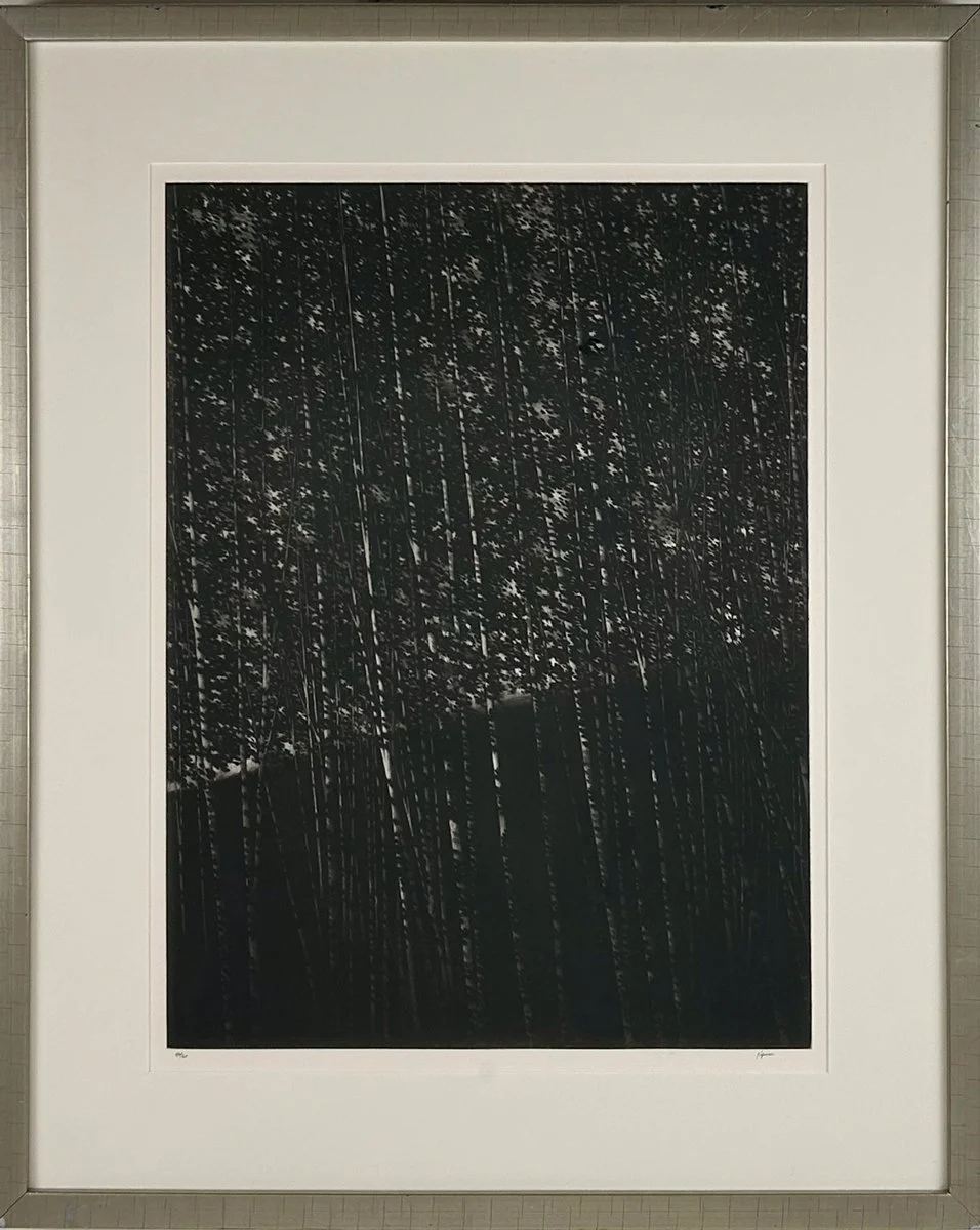 Kipniss, Robert - The white forest - black and white Mezzotint with dense forest