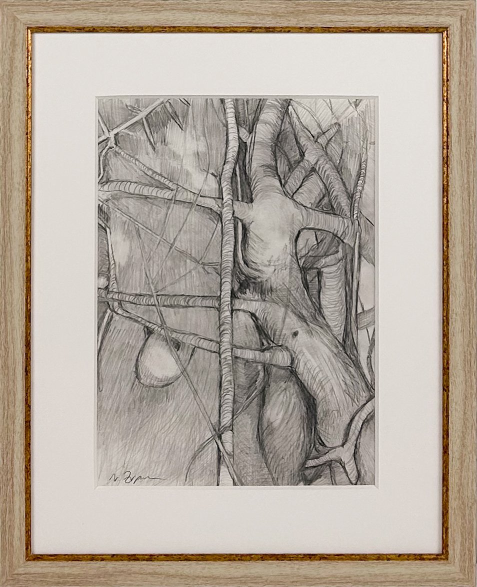 Natasha Zupan Afterglow #46, framed ink on paper illustration of abstract tree branches interwoven