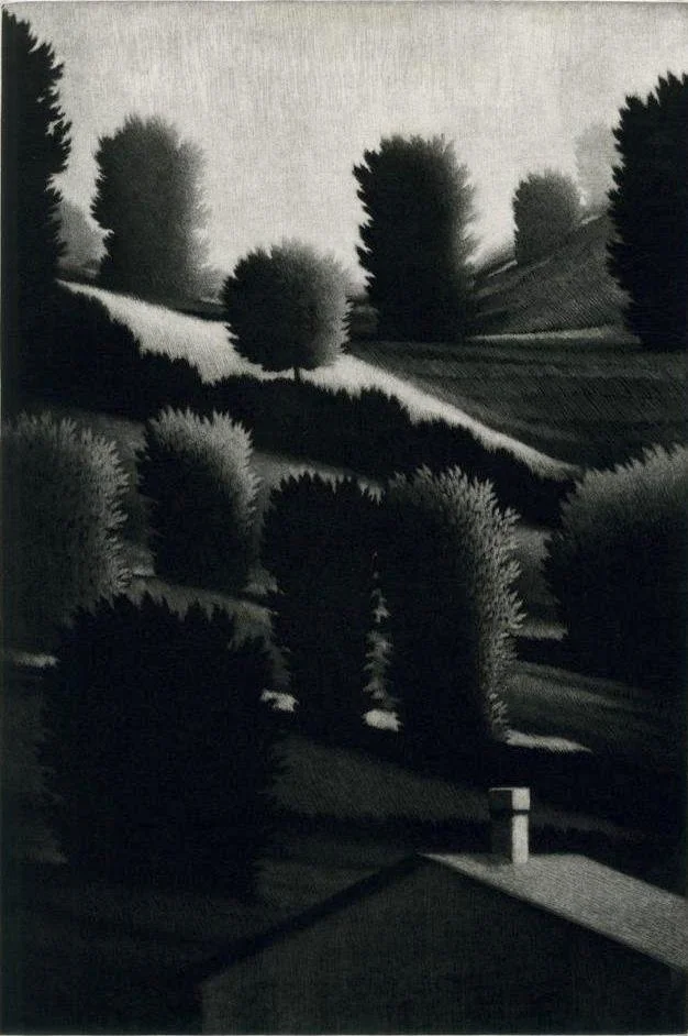 Robert Kipniss Sentinels, high contrast balck and white landscape, strong light and shadows, tall bushy trees on bills with a roof in the foreground