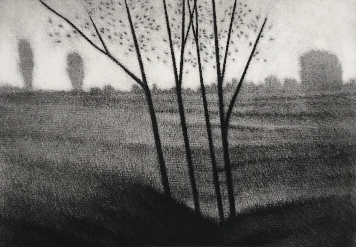 Robert Kipniss Near & far, mezzotint in black and white of near trees and distant bushy trees with a field